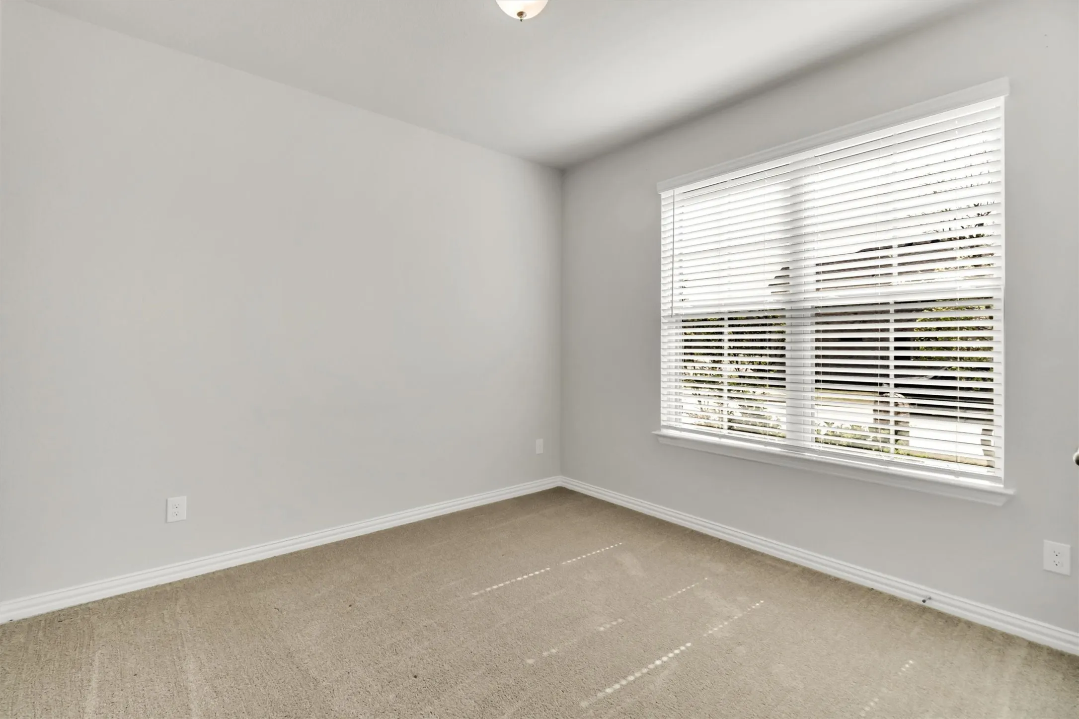 Bedroom/Study downstairs