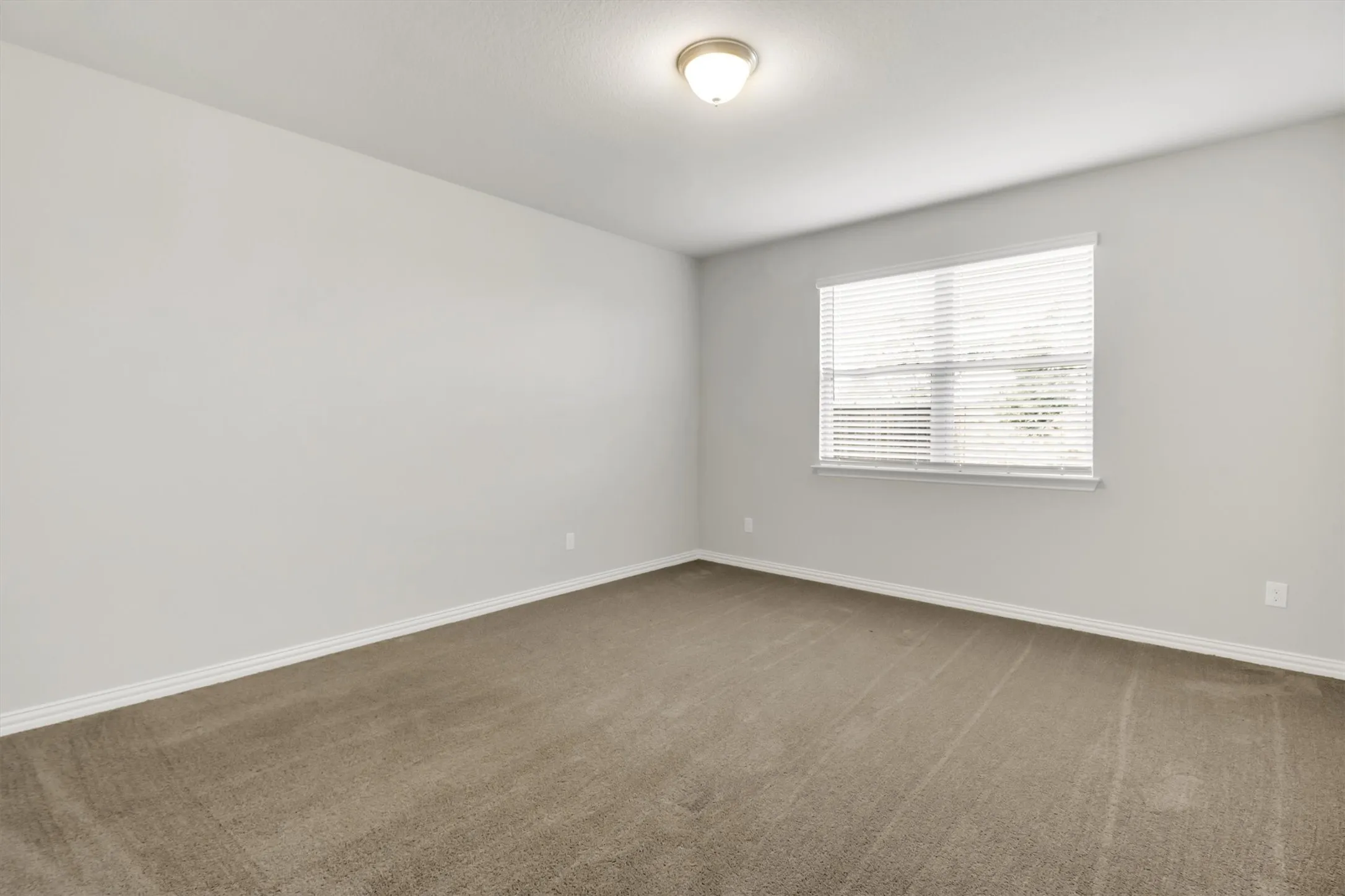 Large Primary Bedroom