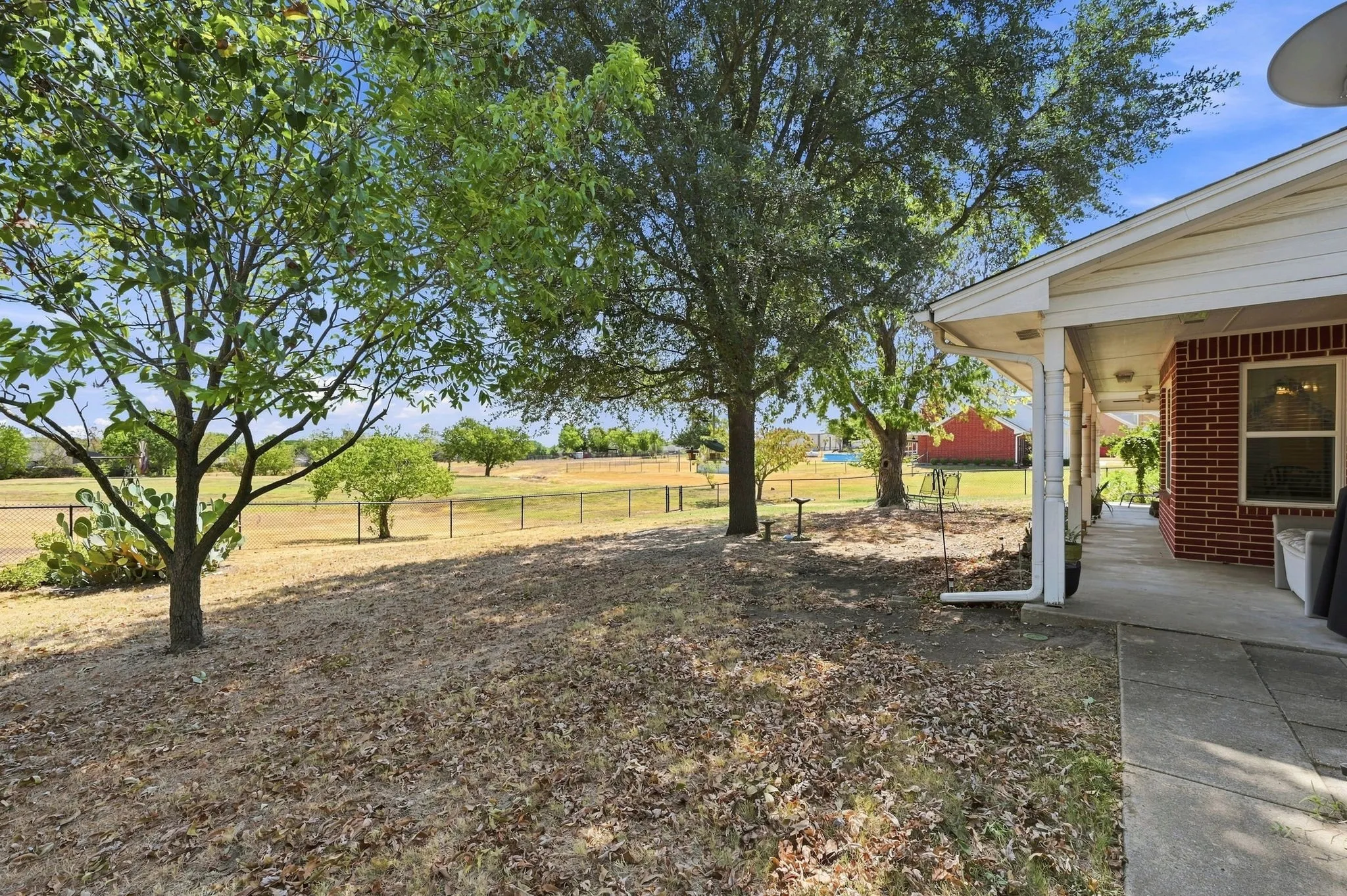 Fenced Back Yard
