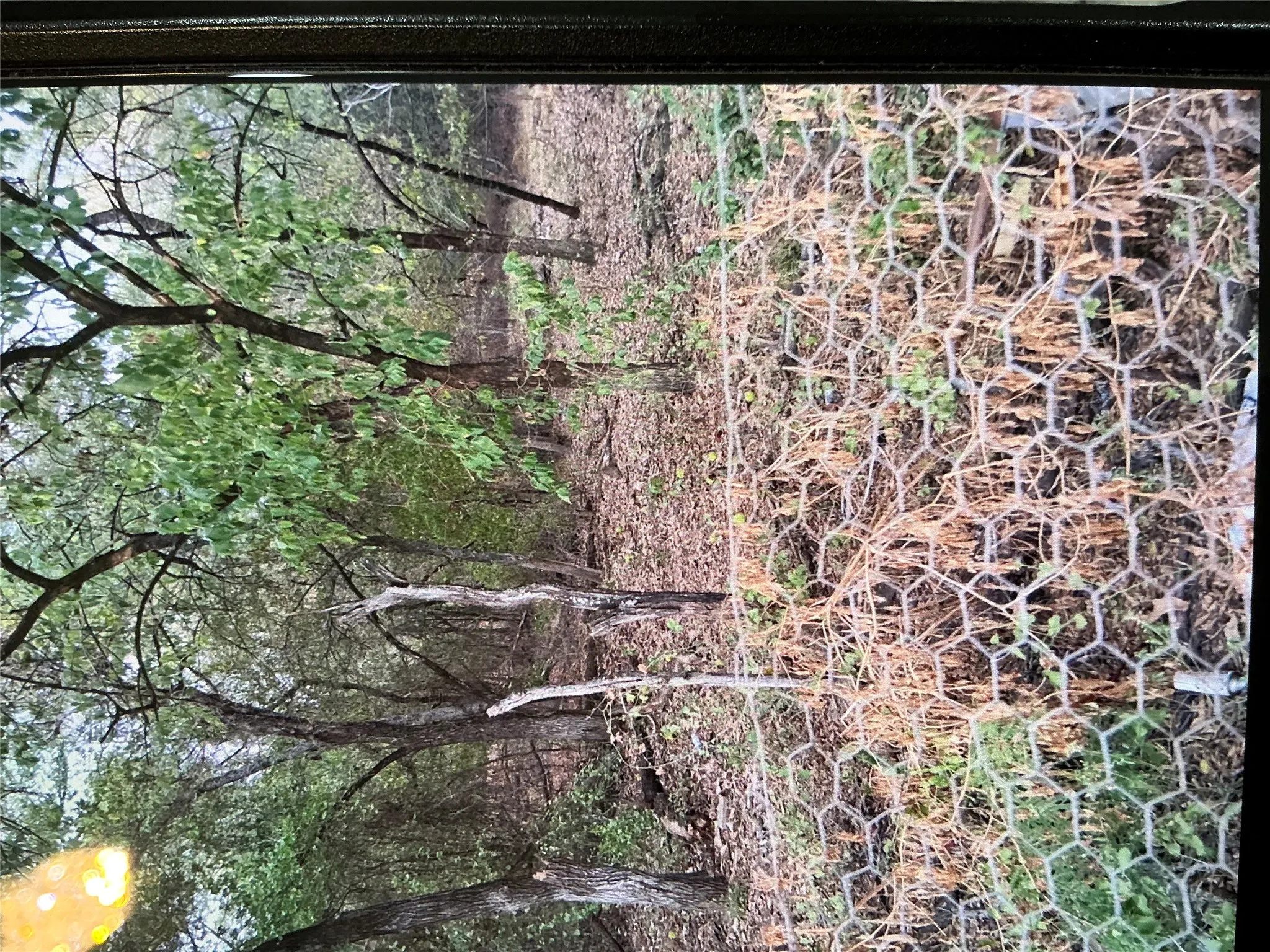 Mobile Home For Sale in Navarro County , 797 S Austin Avenue, Richland, Texas 76681, 4 Bedroom, 2 Bathroom, Garage spaces, 1,340 Sqft, built in 2000, mls#21379928, Real Estate Agent in Richland, Homes For Sale in Navarro county, Homes For Sale in Richland, Realtor in Richland Texas, Real Estate Brokerage Independent Realty Texas, Luminita Cordes Realtor
