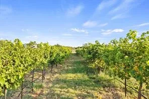 Farm For Sale in Wichita County , 3399 S Peterson Road, Iowa Park, Texas 76367, 4 Bedroom, 4 Bathroom, 2 Garage spaces, 5,538 Sqft, built in 1998, mls#21379946, Real Estate Agent in Iowa Park, Homes For Sale in Wichita county, Homes For Sale in Iowa Park, Realtor in Iowa Park Texas, Real Estate Brokerage Independent Realty Texas, Luminita Cordes Realtor