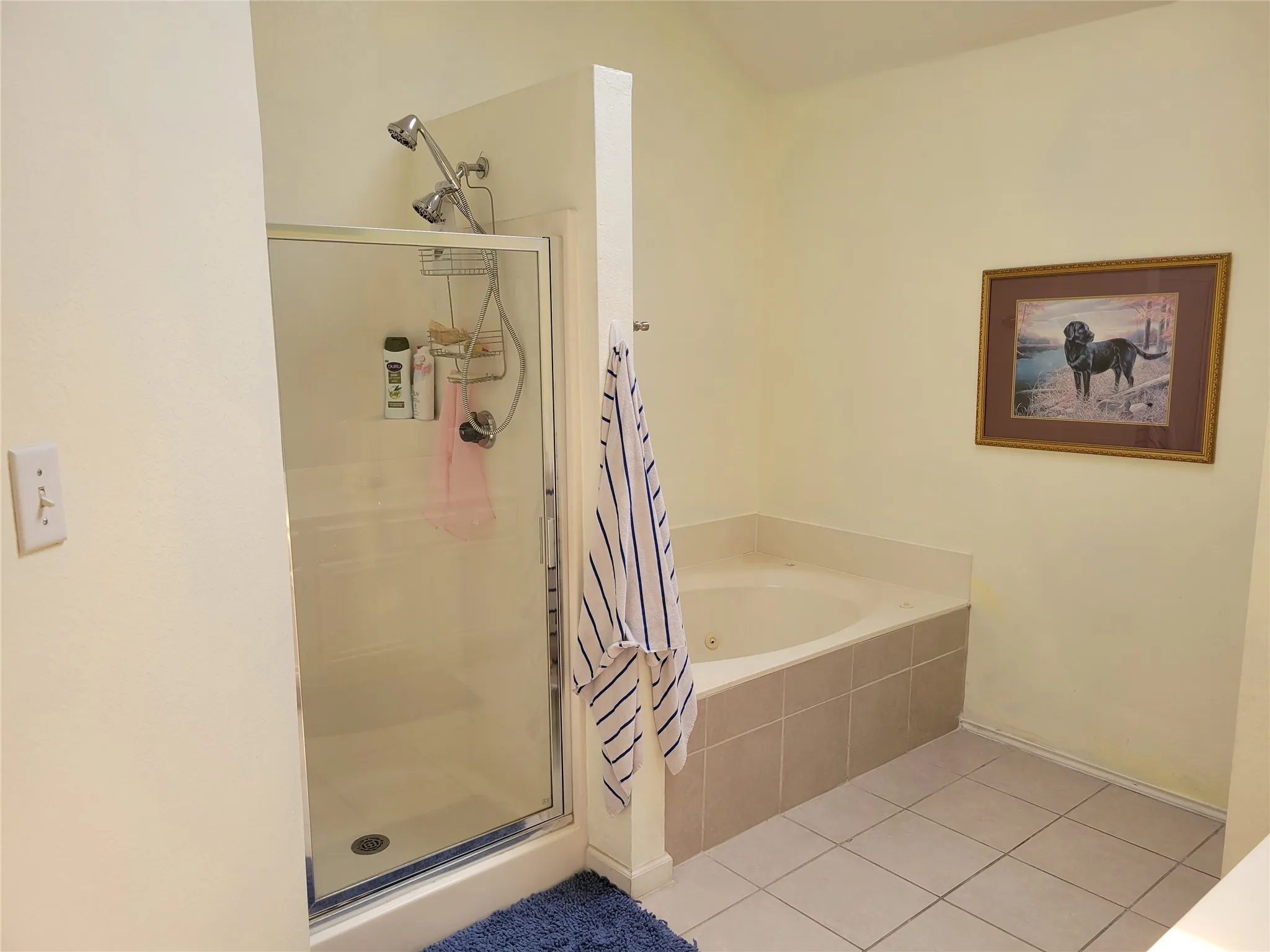 Single Family Residence For Rent in Collin County , 1208 Berkshire Court, Allen, Texas 75002, 3 Bedroom, 2 Bathroom, 2 Garage spaces, 1,890 Sqft, built in 1997, mls#21379921, Real Estate Agent in Allen, Homes For Rent in Collin county, Homes For Rent in Allen, Realtor in Allen Texas, Real Estate Brokerage Independent Realty Texas, Luminita Cordes Realtor