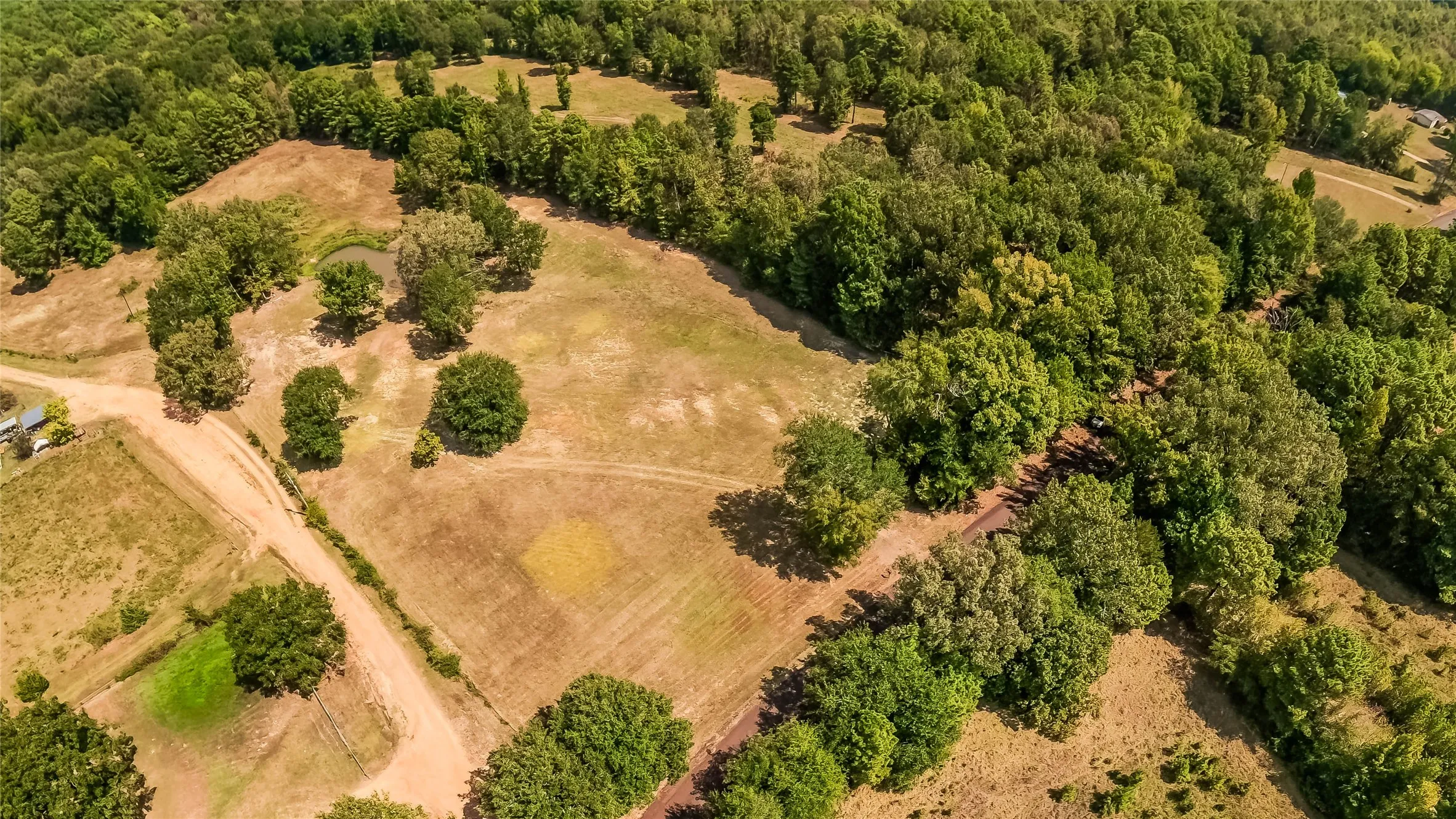 Unimproved Land For Sale in Harrison County , 587 Floyd Evans Road, Elysian Fields, Texas 75642, 0, 0, Garage spaces, 0 Sqft, built in 0, mls#21376958, Real Estate Agent in Elysian Fields, Homes For Sale in Harrison county, Homes For Sale in Elysian Fields, Realtor in Elysian Fields Texas, Real Estate Brokerage Independent Realty Texas, Luminita Cordes Realtor