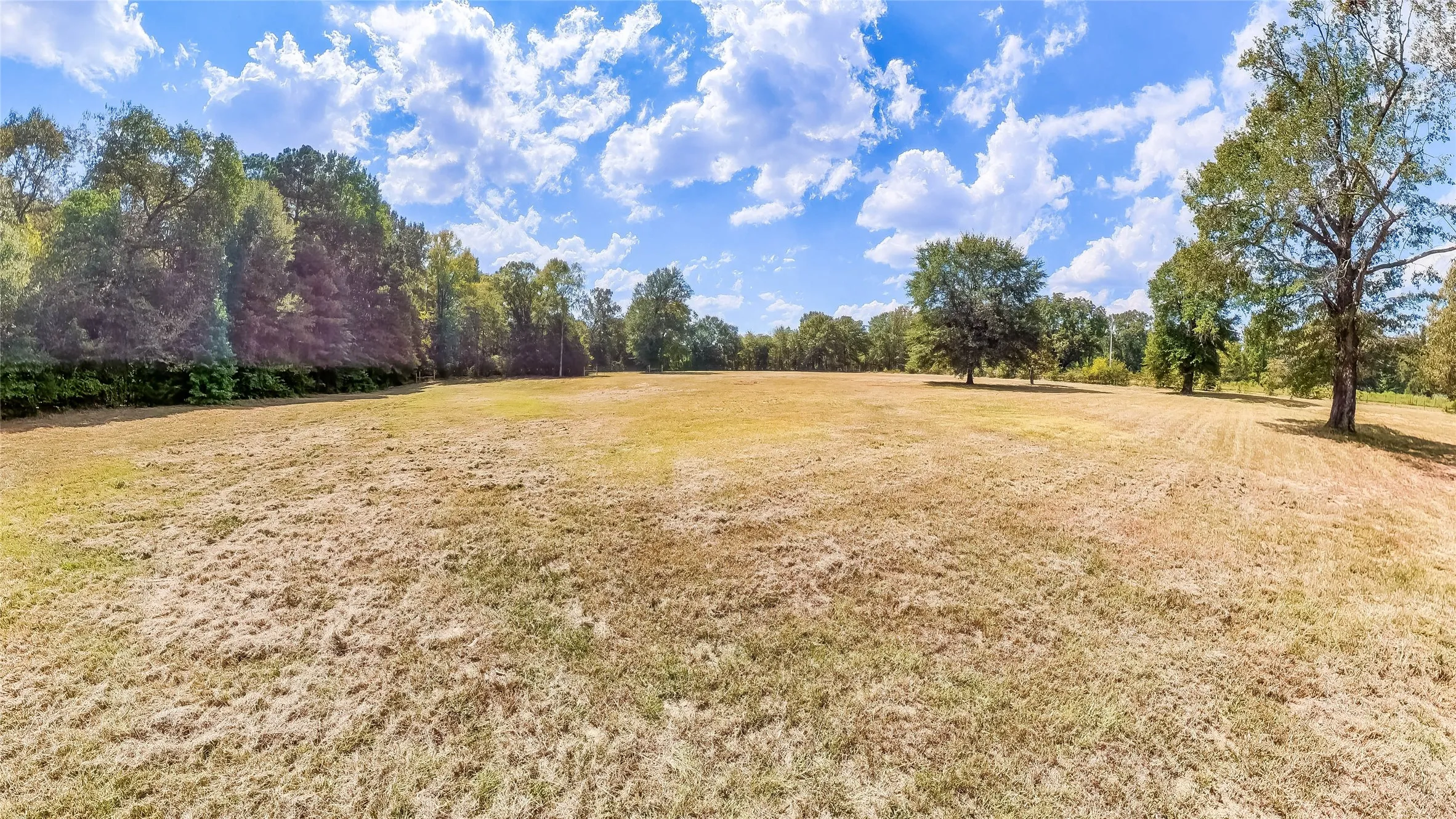Unimproved Land For Sale in Harrison County , 587 Floyd Evans Road, Elysian Fields, Texas 75642, 0, 0, Garage spaces, 0 Sqft, built in 0, mls#21376958, Real Estate Agent in Elysian Fields, Homes For Sale in Harrison county, Homes For Sale in Elysian Fields, Realtor in Elysian Fields Texas, Real Estate Brokerage Independent Realty Texas, Luminita Cordes Realtor