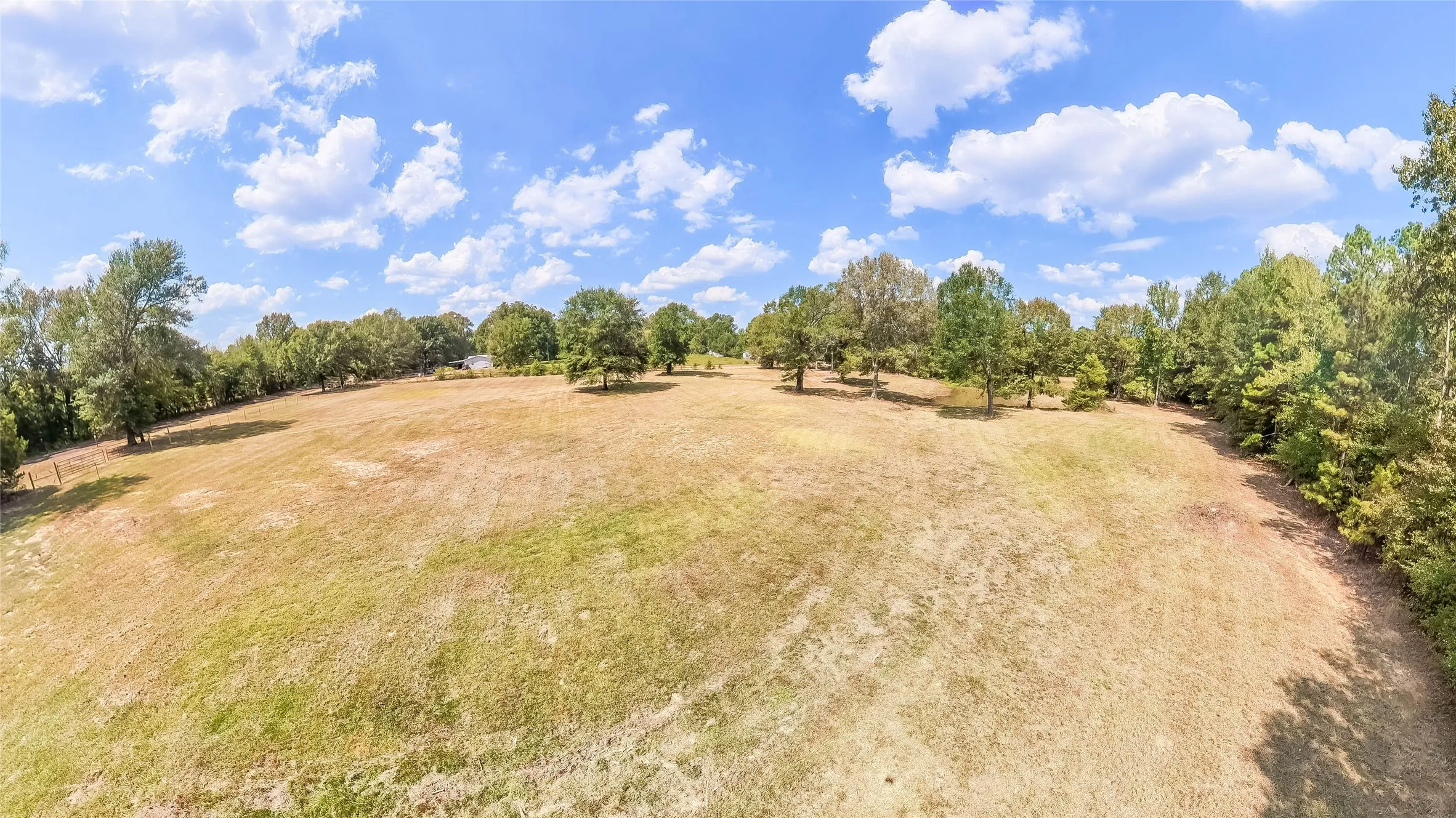 Unimproved Land For Sale in Harrison County , 587 Floyd Evans Road, Elysian Fields, Texas 75642, 0, 0, Garage spaces, 0 Sqft, built in 0, mls#21376958, Real Estate Agent in Elysian Fields, Homes For Sale in Harrison county, Homes For Sale in Elysian Fields, Realtor in Elysian Fields Texas, Real Estate Brokerage Independent Realty Texas, Luminita Cordes Realtor