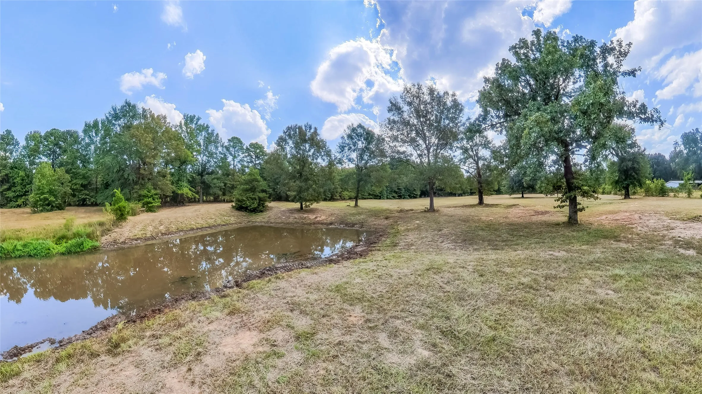 Unimproved Land For Sale in Harrison County , 587 Floyd Evans Road, Elysian Fields, Texas 75642, 0, 0, Garage spaces, 0 Sqft, built in 0, mls#21376958, Real Estate Agent in Elysian Fields, Homes For Sale in Harrison county, Homes For Sale in Elysian Fields, Realtor in Elysian Fields Texas, Real Estate Brokerage Independent Realty Texas, Luminita Cordes Realtor