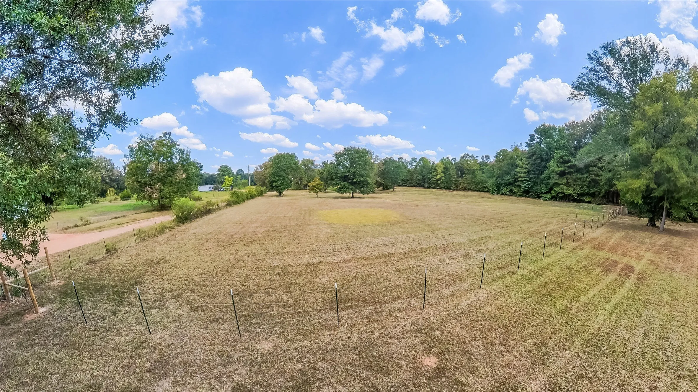 Unimproved Land For Sale in Harrison County , 587 Floyd Evans Road, Elysian Fields, Texas 75642, 0, 0, Garage spaces, 0 Sqft, built in 0, mls#21376958, Real Estate Agent in Elysian Fields, Homes For Sale in Harrison county, Homes For Sale in Elysian Fields, Realtor in Elysian Fields Texas, Real Estate Brokerage Independent Realty Texas, Luminita Cordes Realtor