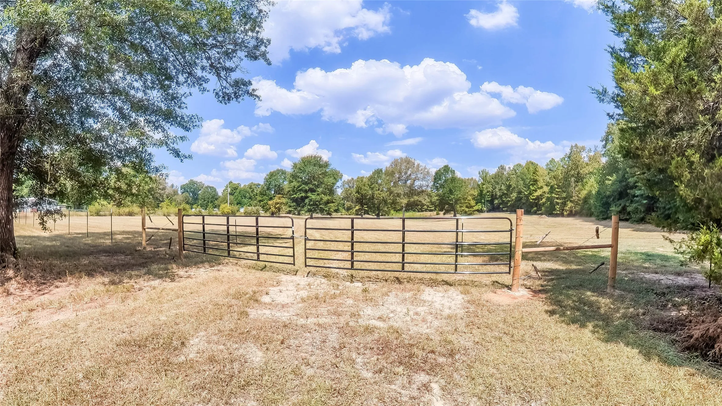 Unimproved Land For Sale in Harrison County , 587 Floyd Evans Road, Elysian Fields, Texas 75642, 0, 0, Garage spaces, 0 Sqft, built in 0, mls#21376958, Real Estate Agent in Elysian Fields, Homes For Sale in Harrison county, Homes For Sale in Elysian Fields, Realtor in Elysian Fields Texas, Real Estate Brokerage Independent Realty Texas, Luminita Cordes Realtor