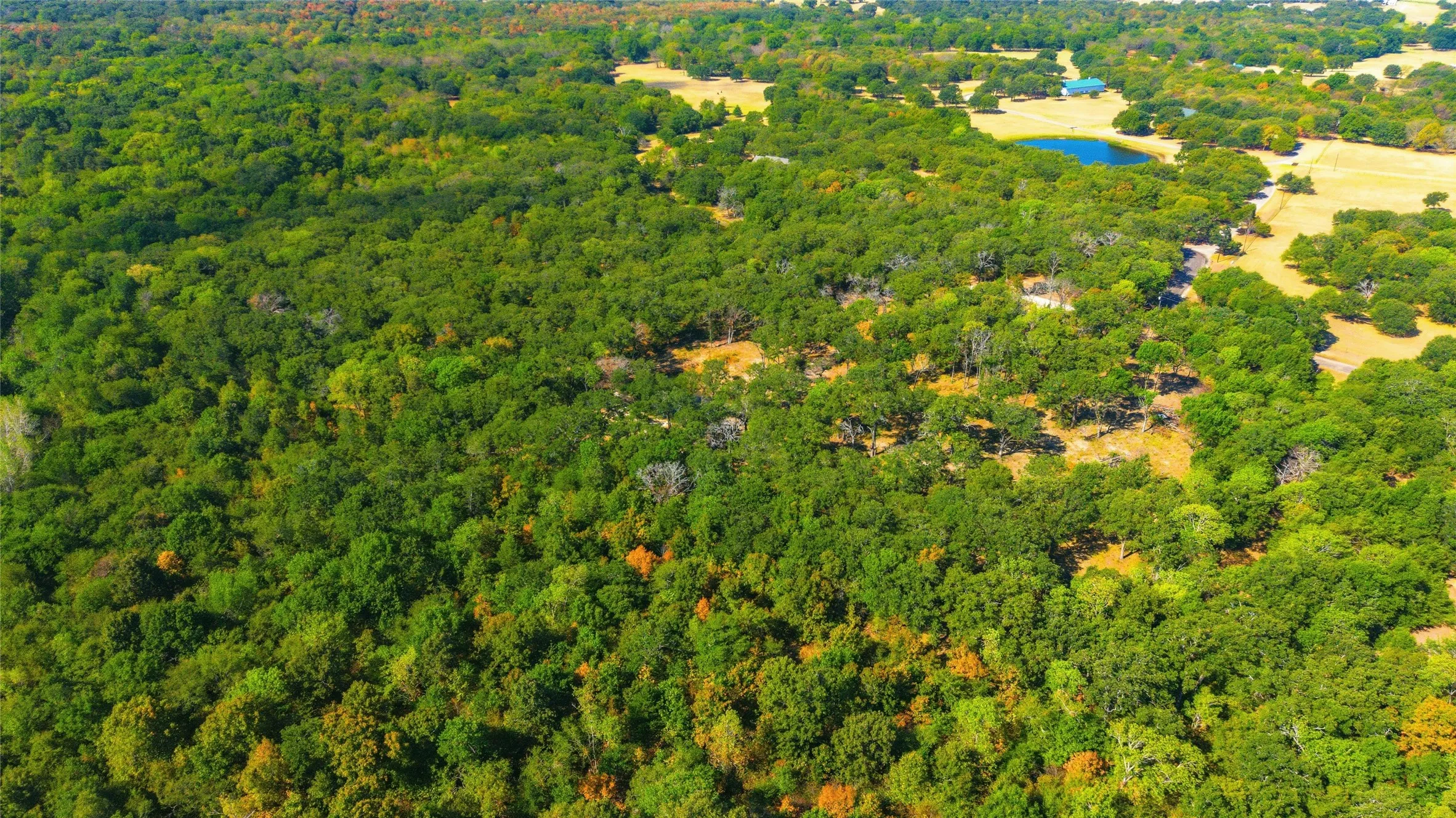 Farm For Sale in Hunt County , 3291 County Road 3116, Lone Oak, Texas 75453, 3 Bedroom, 2 Bathroom, Garage spaces, 1,600 Sqft, built in 2024, mls#21379972, Real Estate Agent in Lone Oak, Homes For Sale in Hunt county, Homes For Sale in Lone Oak, Realtor in Lone Oak Texas, Real Estate Brokerage Independent Realty Texas, Luminita Cordes Realtor