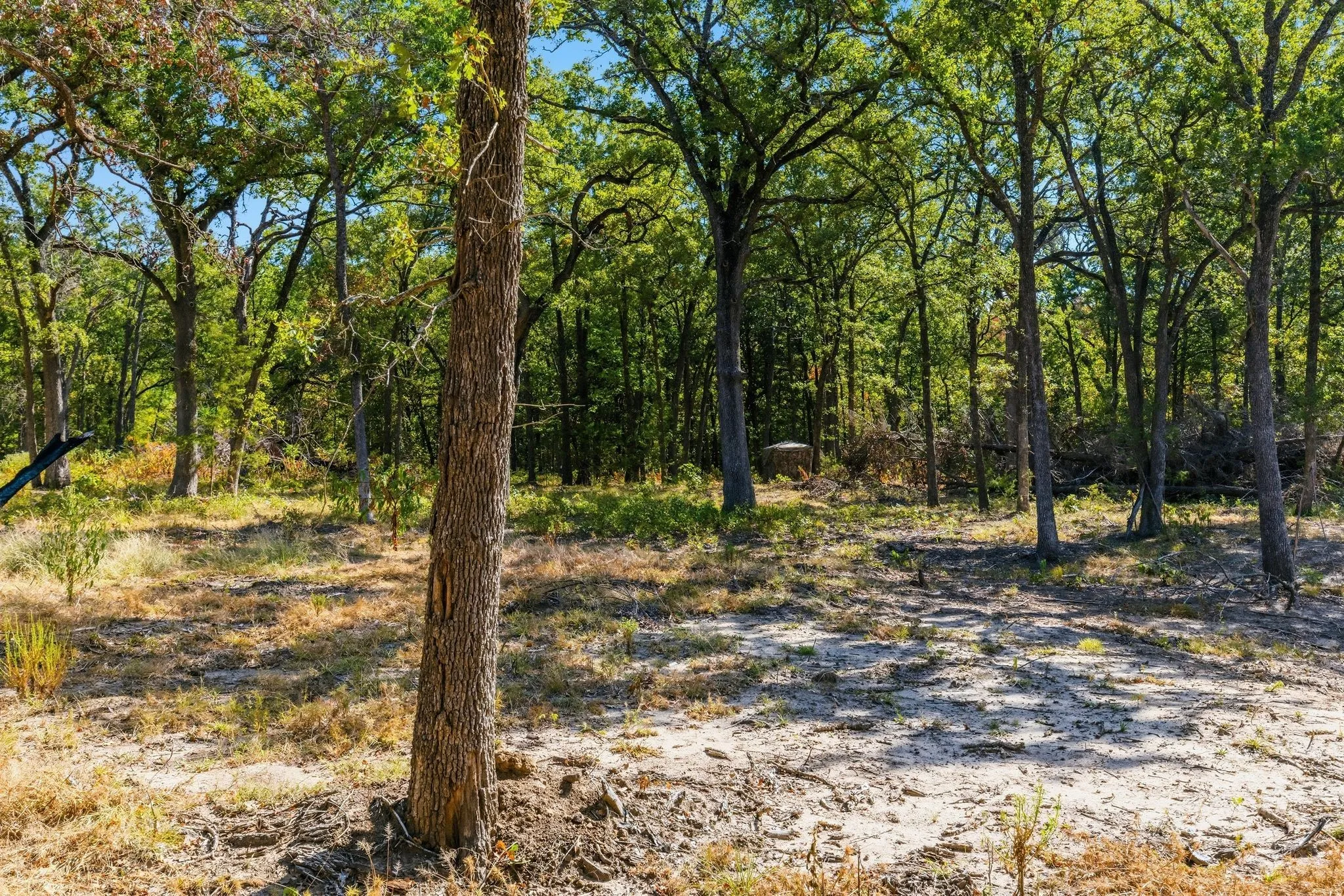 Farm For Sale in Hunt County , 3291 County Road 3116, Lone Oak, Texas 75453, 3 Bedroom, 2 Bathroom, Garage spaces, 1,600 Sqft, built in 2024, mls#21379972, Real Estate Agent in Lone Oak, Homes For Sale in Hunt county, Homes For Sale in Lone Oak, Realtor in Lone Oak Texas, Real Estate Brokerage Independent Realty Texas, Luminita Cordes Realtor