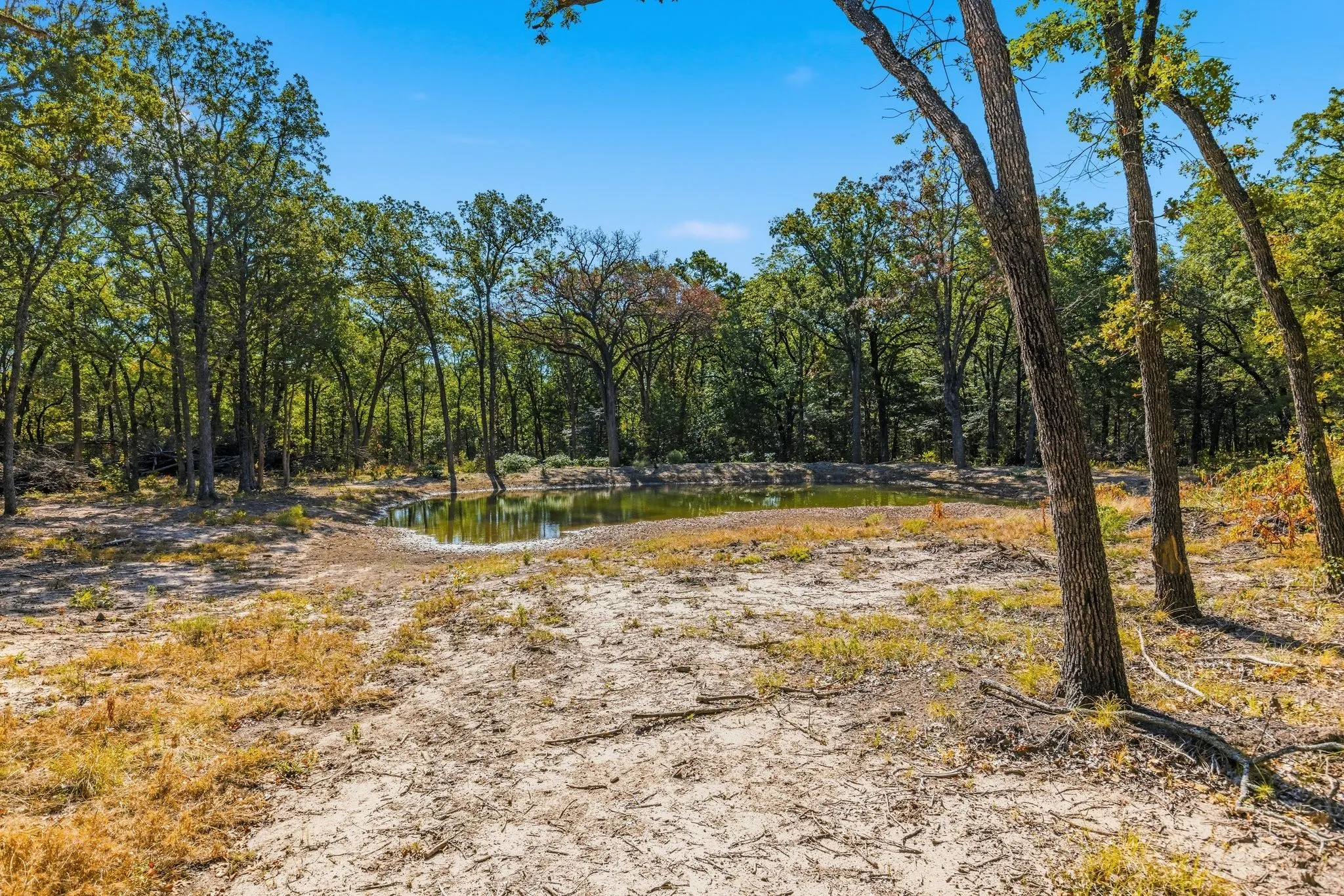Farm For Sale in Hunt County , 3291 County Road 3116, Lone Oak, Texas 75453, 3 Bedroom, 2 Bathroom, Garage spaces, 1,600 Sqft, built in 2024, mls#21379972, Real Estate Agent in Lone Oak, Homes For Sale in Hunt county, Homes For Sale in Lone Oak, Realtor in Lone Oak Texas, Real Estate Brokerage Independent Realty Texas, Luminita Cordes Realtor