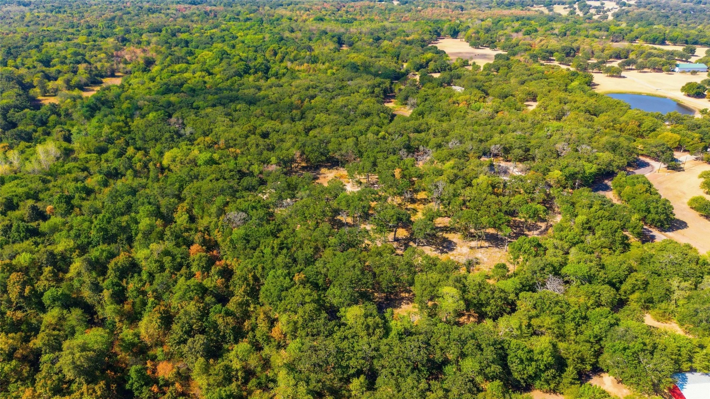 Farm For Sale in Hunt County , 3291 County Road 3116, Lone Oak, Texas 75453, 3 Bedroom, 2 Bathroom, Garage spaces, 1,600 Sqft, built in 2024, mls#21379972, Real Estate Agent in Lone Oak, Homes For Sale in Hunt county, Homes For Sale in Lone Oak, Realtor in Lone Oak Texas, Real Estate Brokerage Independent Realty Texas, Luminita Cordes Realtor