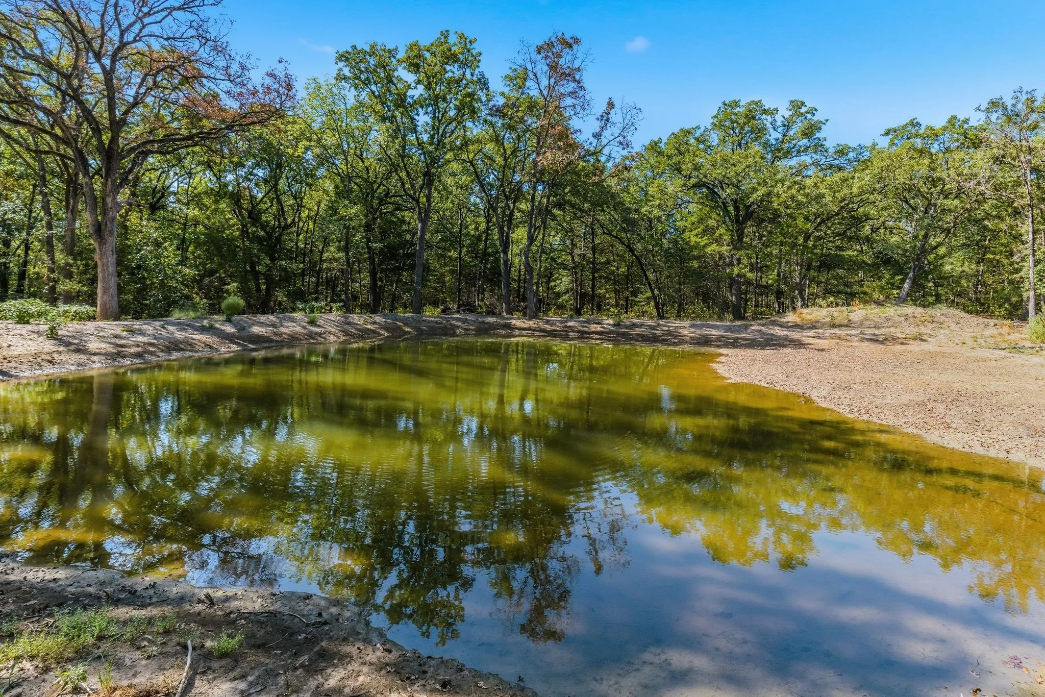 Farm For Sale in Hunt County , 3291 County Road 3116, Lone Oak, Texas 75453, 3 Bedroom, 2 Bathroom, Garage spaces, 1,600 Sqft, built in 2024, mls#21379972, Real Estate Agent in Lone Oak, Homes For Sale in Hunt county, Homes For Sale in Lone Oak, Realtor in Lone Oak Texas, Real Estate Brokerage Independent Realty Texas, Luminita Cordes Realtor