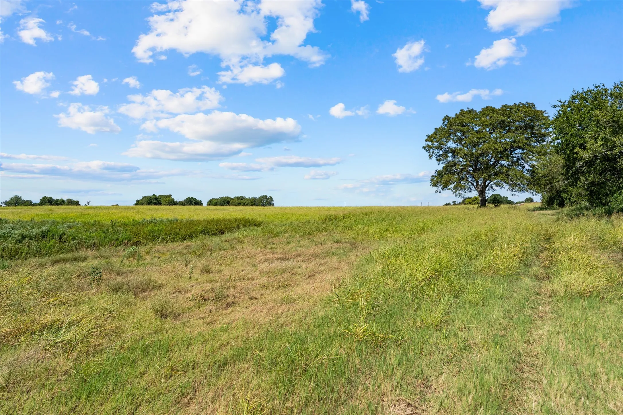 Improved Land For Sale in Falls County , 4562 hwy 77, Chilton, Texas 76632, 0, 0, Garage spaces, 0 Sqft, built in 0, mls#21368556, Real Estate Agent in Chilton, Homes For Sale in Falls county, Homes For Sale in Chilton, Realtor in Chilton Texas, Real Estate Brokerage Independent Realty Texas, Luminita Cordes Realtor