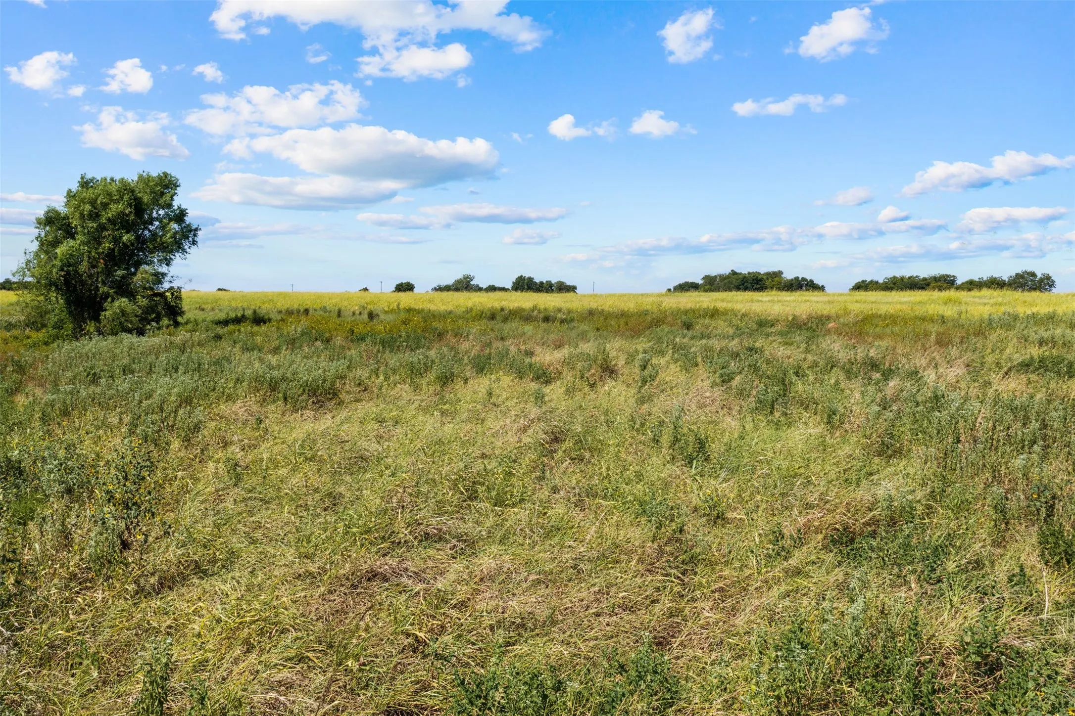 Improved Land For Sale in Falls County , 4562 hwy 77, Chilton, Texas 76632, 0, 0, Garage spaces, 0 Sqft, built in 0, mls#21368556, Real Estate Agent in Chilton, Homes For Sale in Falls county, Homes For Sale in Chilton, Realtor in Chilton Texas, Real Estate Brokerage Independent Realty Texas, Luminita Cordes Realtor