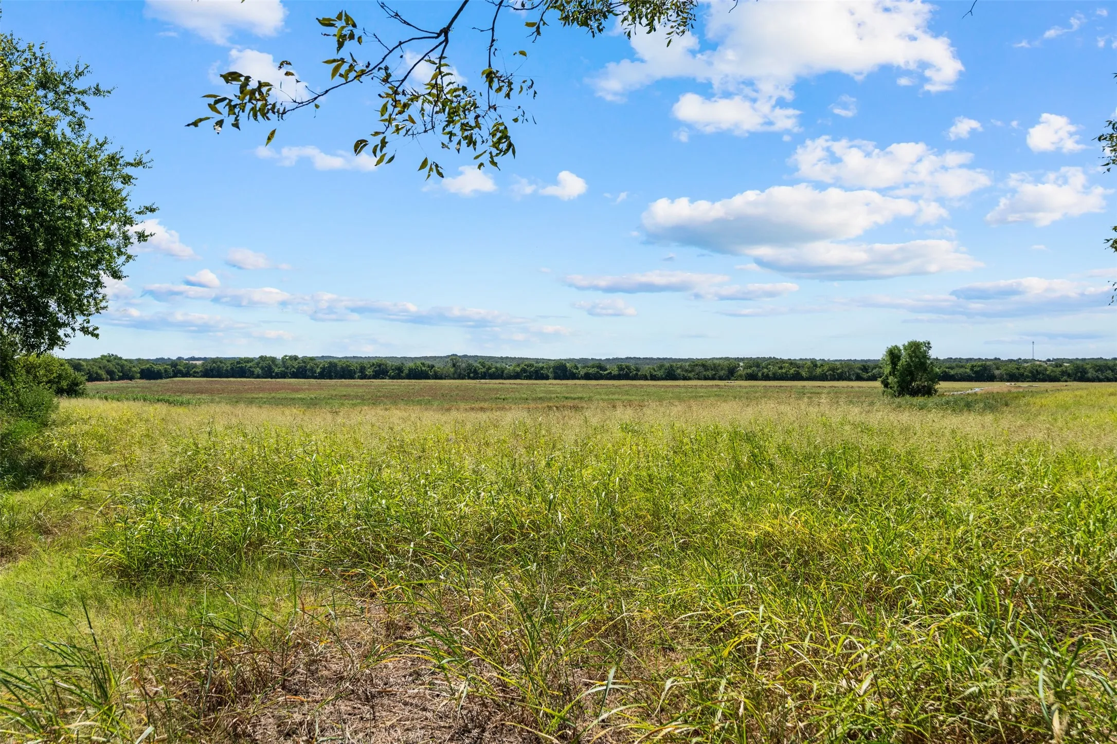 Improved Land For Sale in Falls County , 4562 hwy 77, Chilton, Texas 76632, 0, 0, Garage spaces, 0 Sqft, built in 0, mls#21368556, Real Estate Agent in Chilton, Homes For Sale in Falls county, Homes For Sale in Chilton, Realtor in Chilton Texas, Real Estate Brokerage Independent Realty Texas, Luminita Cordes Realtor