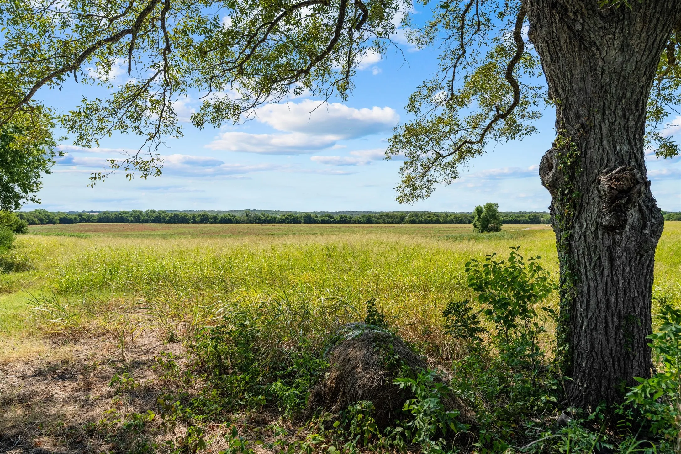 Improved Land For Sale in Falls County , 4562 hwy 77, Chilton, Texas 76632, 0, 0, Garage spaces, 0 Sqft, built in 0, mls#21368556, Real Estate Agent in Chilton, Homes For Sale in Falls county, Homes For Sale in Chilton, Realtor in Chilton Texas, Real Estate Brokerage Independent Realty Texas, Luminita Cordes Realtor