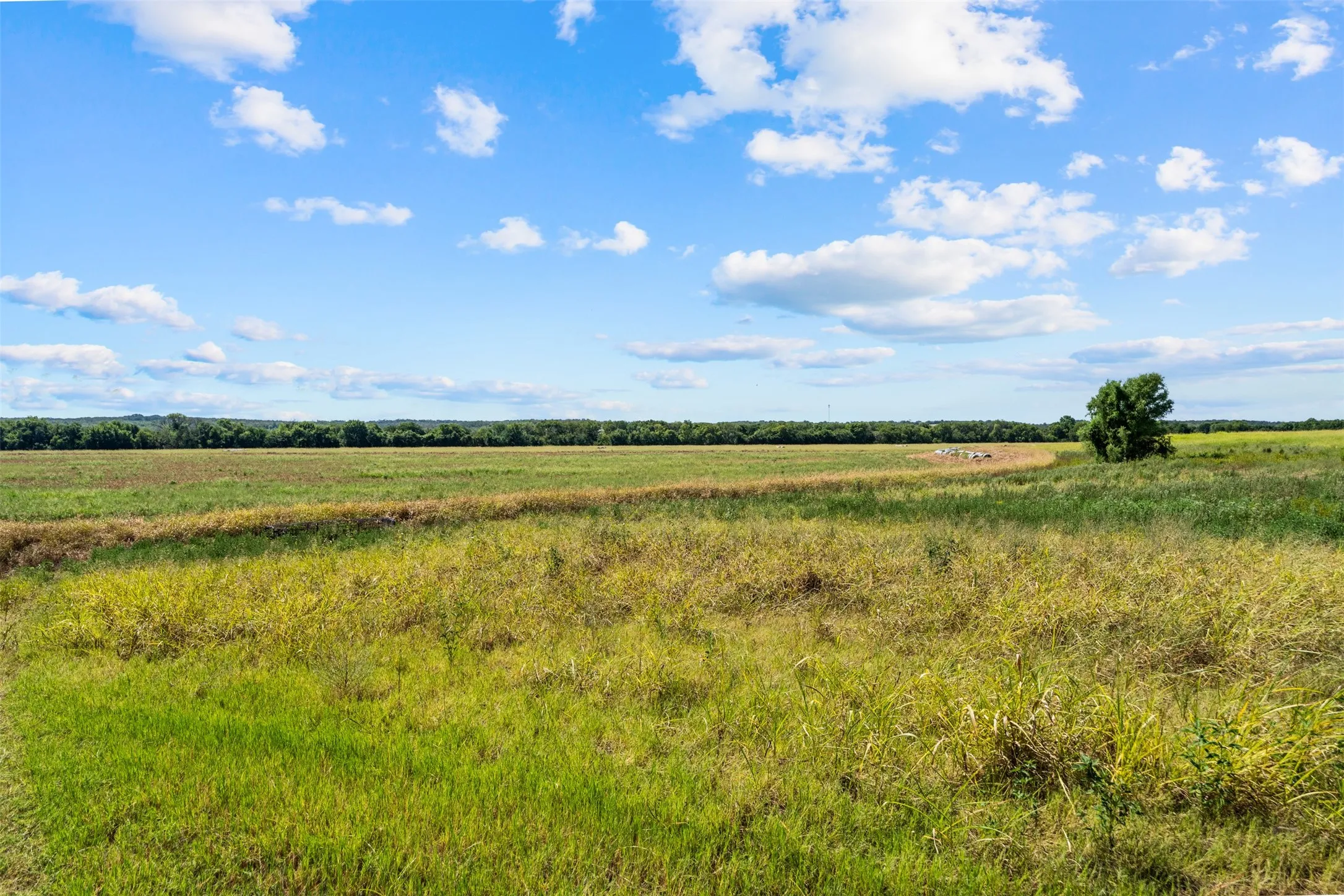 Improved Land For Sale in Falls County , 4562 hwy 77, Chilton, Texas 76632, 0, 0, Garage spaces, 0 Sqft, built in 0, mls#21368556, Real Estate Agent in Chilton, Homes For Sale in Falls county, Homes For Sale in Chilton, Realtor in Chilton Texas, Real Estate Brokerage Independent Realty Texas, Luminita Cordes Realtor