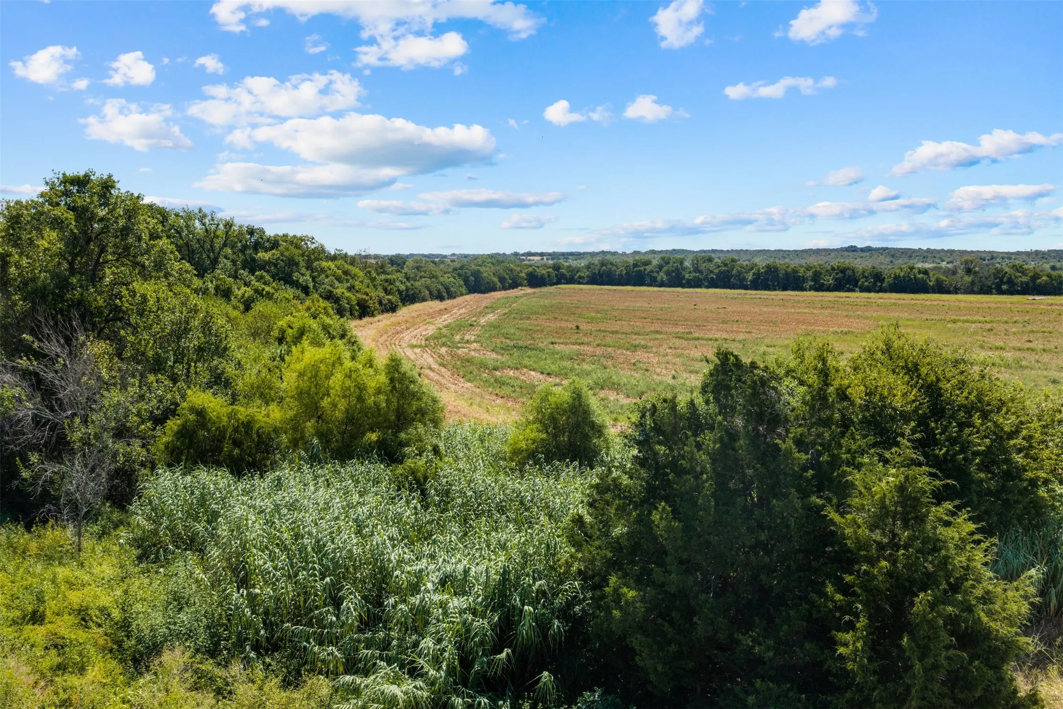 Improved Land For Sale in Falls County , 4562 hwy 77, Chilton, Texas 76632, 0, 0, Garage spaces, 0 Sqft, built in 0, mls#21368556, Real Estate Agent in Chilton, Homes For Sale in Falls county, Homes For Sale in Chilton, Realtor in Chilton Texas, Real Estate Brokerage Independent Realty Texas, Luminita Cordes Realtor
