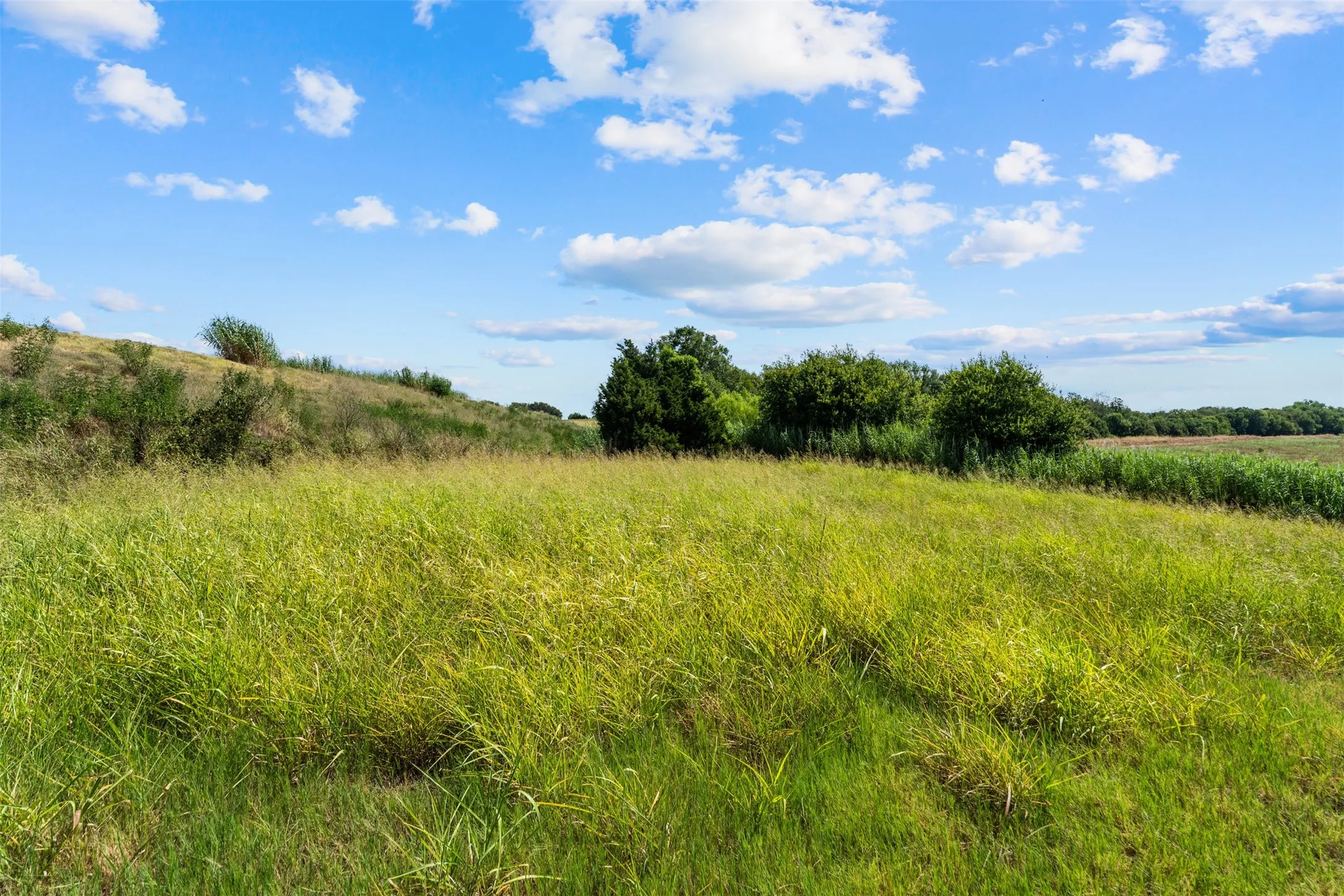 Improved Land For Sale in Falls County , 4562 hwy 77, Chilton, Texas 76632, 0, 0, Garage spaces, 0 Sqft, built in 0, mls#21368556, Real Estate Agent in Chilton, Homes For Sale in Falls county, Homes For Sale in Chilton, Realtor in Chilton Texas, Real Estate Brokerage Independent Realty Texas, Luminita Cordes Realtor