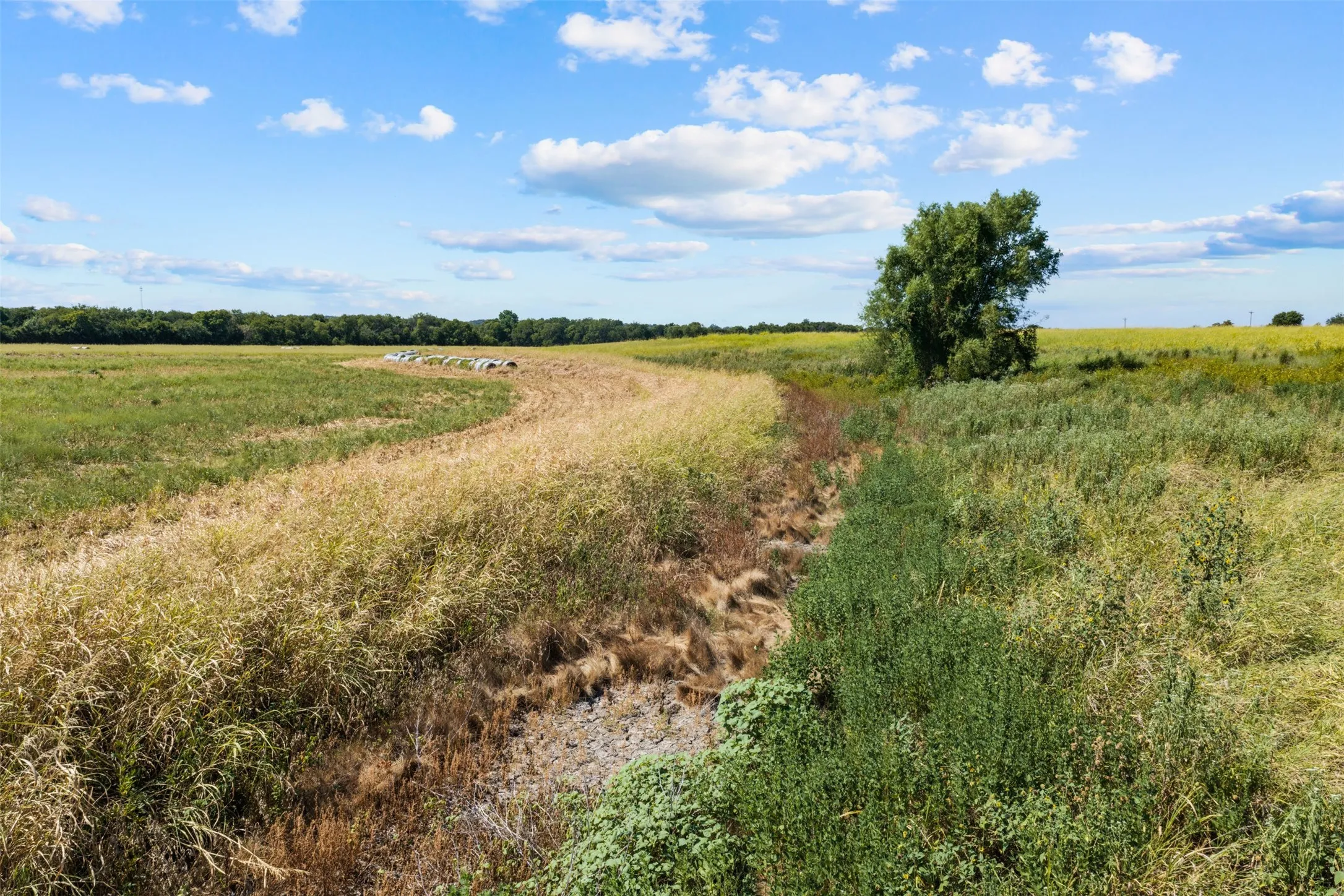 Improved Land For Sale in Falls County , 4562 hwy 77, Chilton, Texas 76632, 0, 0, Garage spaces, 0 Sqft, built in 0, mls#21368556, Real Estate Agent in Chilton, Homes For Sale in Falls county, Homes For Sale in Chilton, Realtor in Chilton Texas, Real Estate Brokerage Independent Realty Texas, Luminita Cordes Realtor
