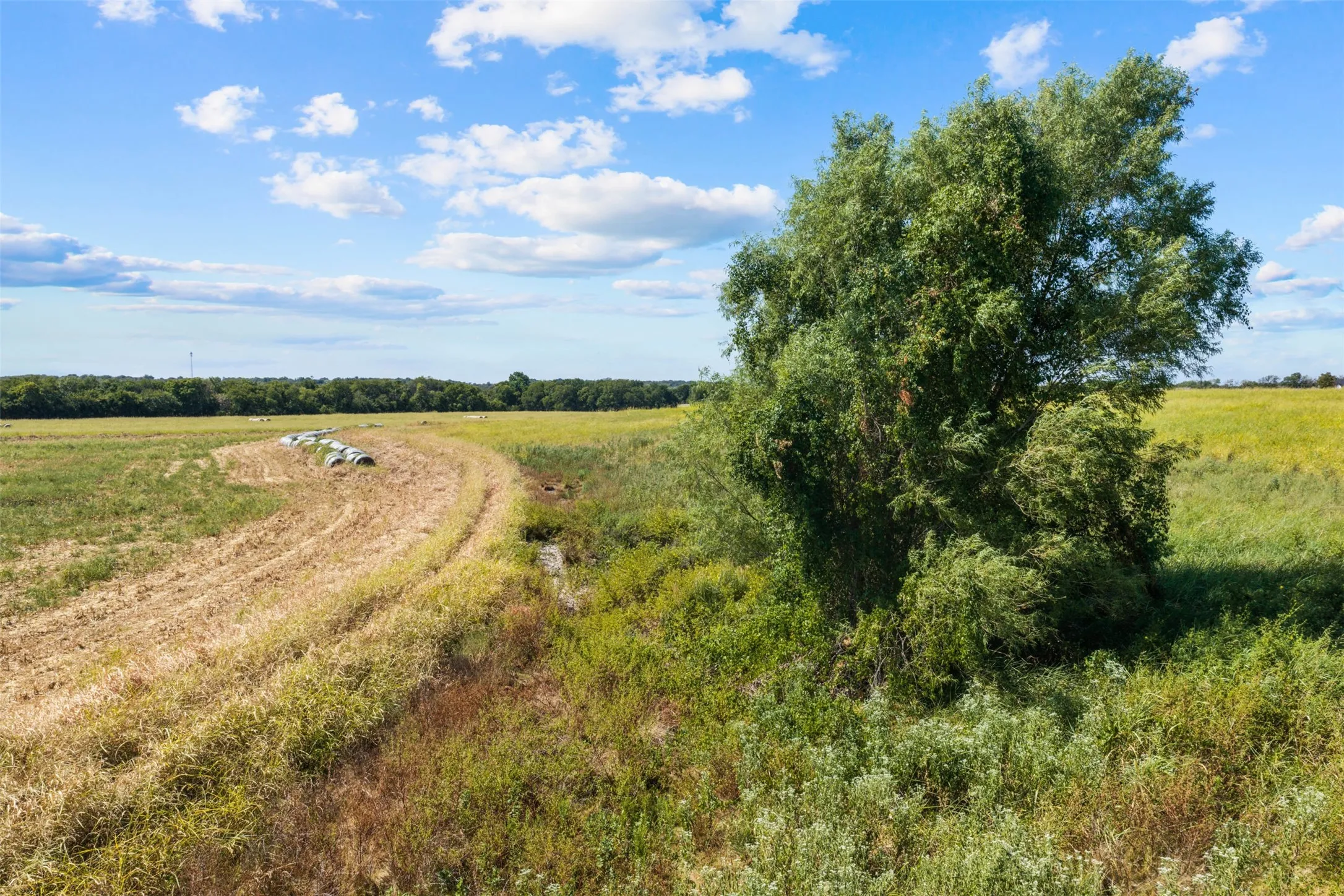 Improved Land For Sale in Falls County , 4562 hwy 77, Chilton, Texas 76632, 0, 0, Garage spaces, 0 Sqft, built in 0, mls#21368556, Real Estate Agent in Chilton, Homes For Sale in Falls county, Homes For Sale in Chilton, Realtor in Chilton Texas, Real Estate Brokerage Independent Realty Texas, Luminita Cordes Realtor