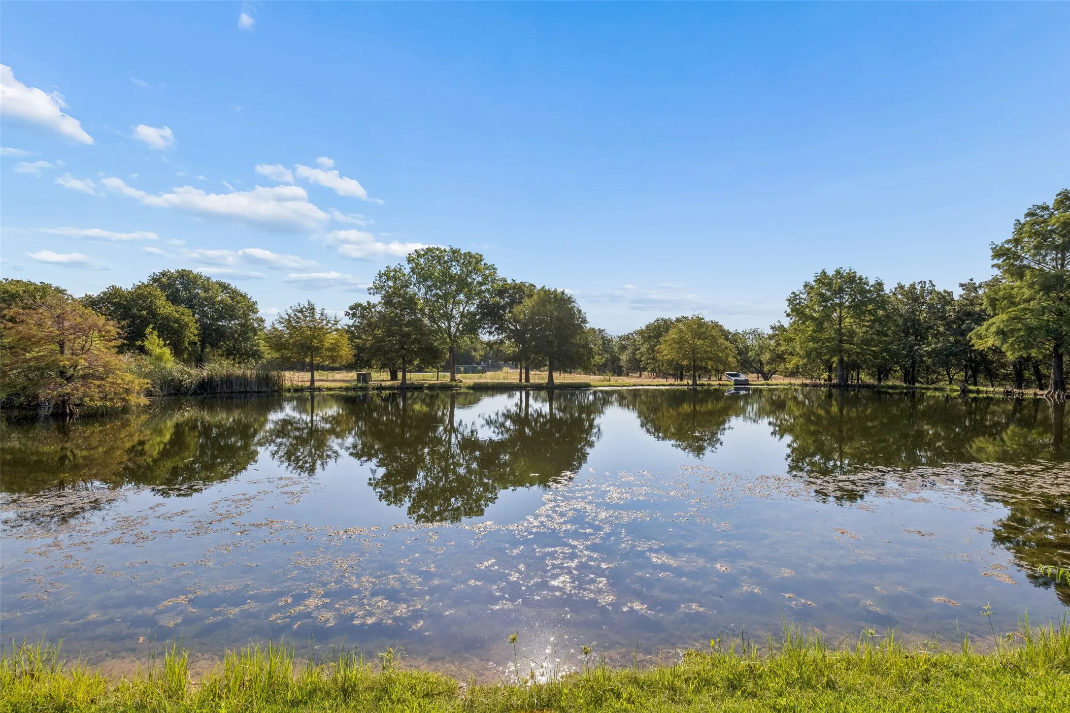 Private pond with surrounding mature trees and natural landscaping