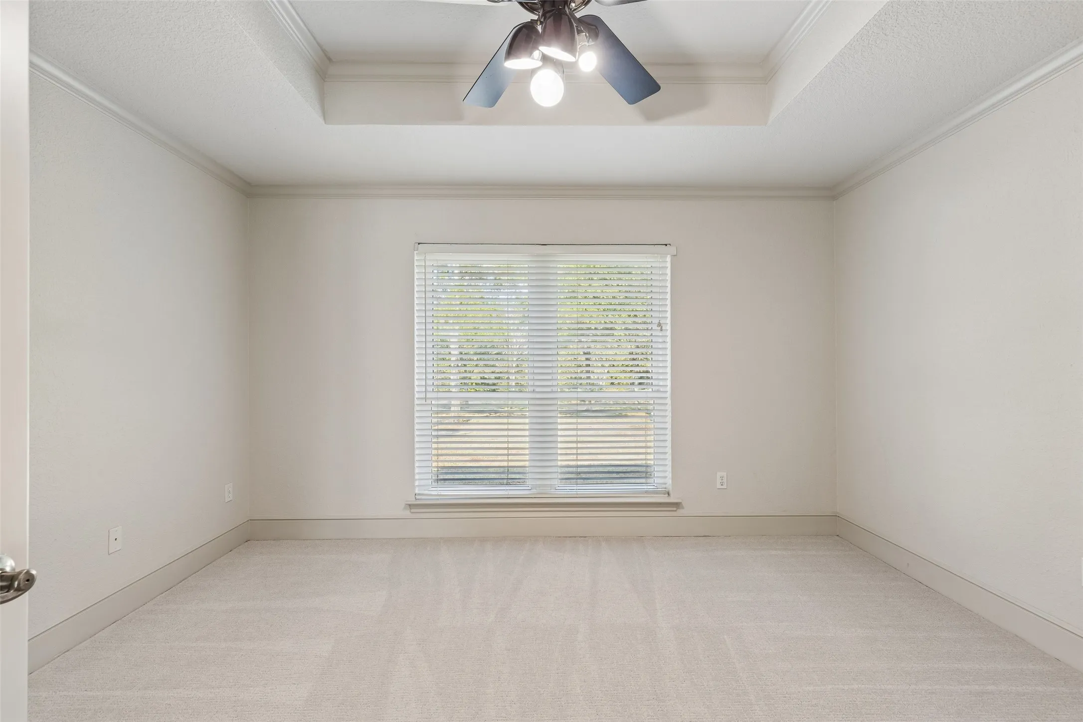 Tray ceiling with crown molding, ceiling fan with light fixture, carpet flooring, and a large window with blinds