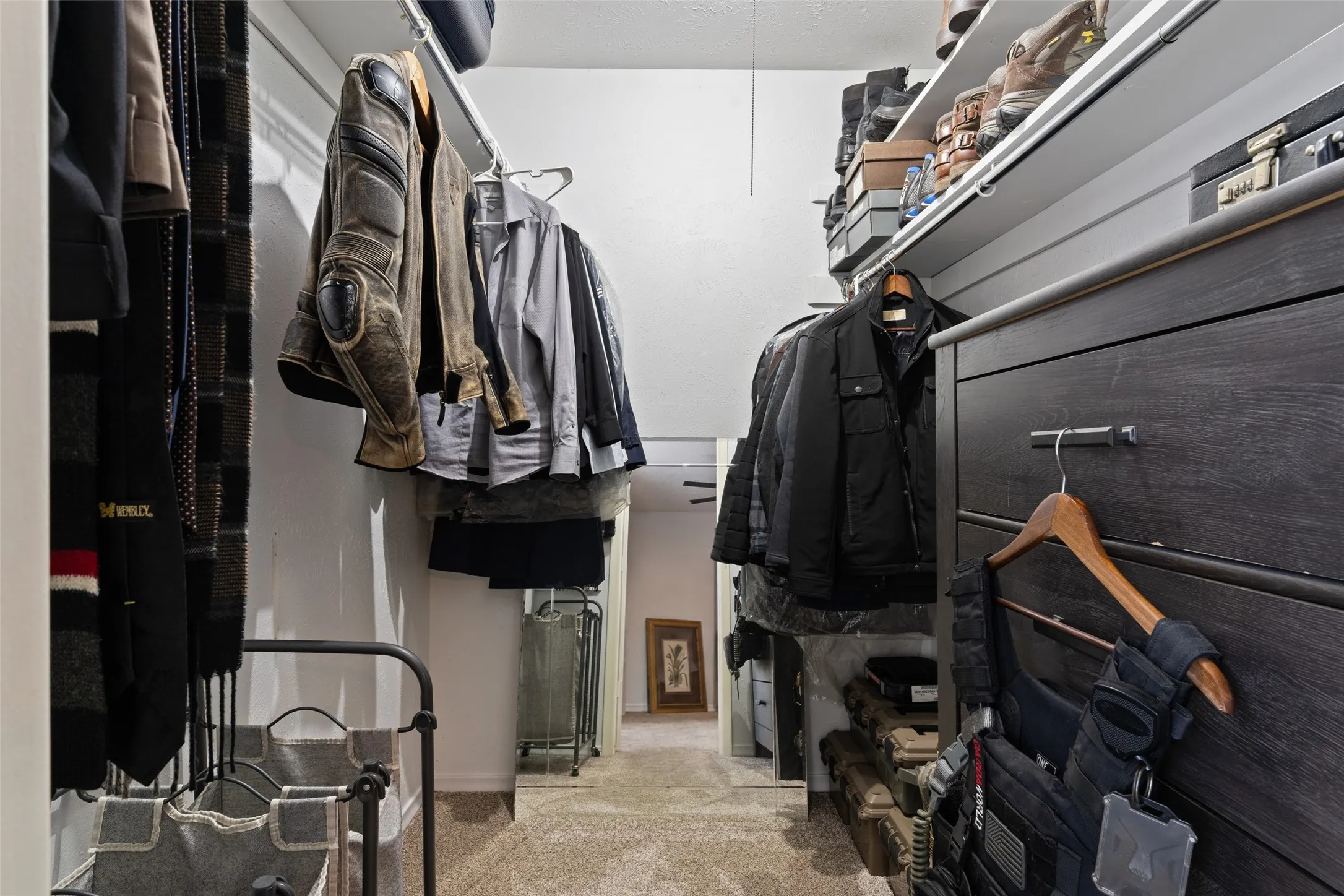 Walk-in closet with carpet flooring, built-in shelving, and dark wood-finish drawers