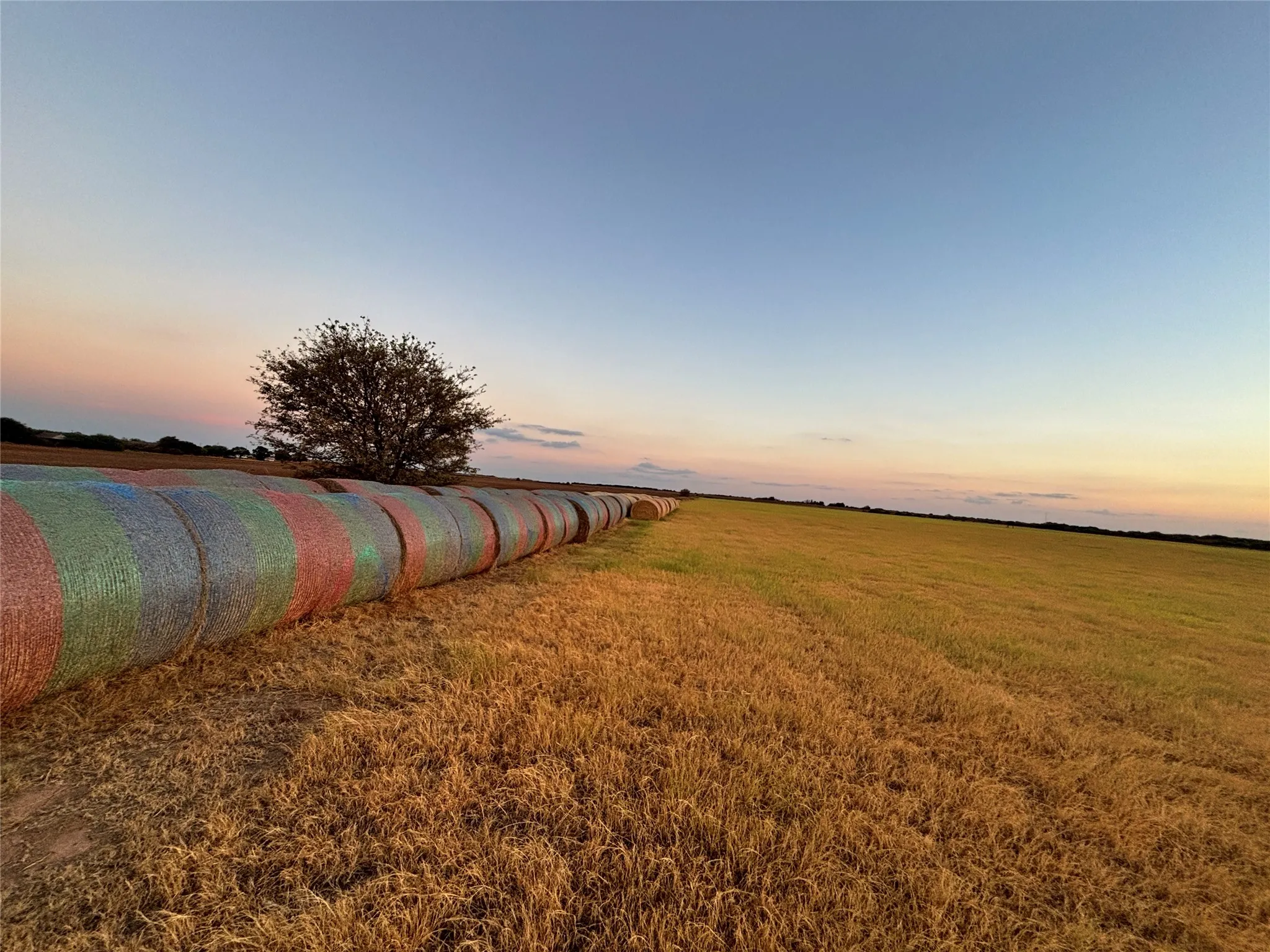 Farm For Sale in Archer County , 323 Slaughter, Megargel, Texas 76370, 2 Bedroom, 1 Bathroom, Garage spaces, 1,575 Sqft, built in 2023, mls#21380038, Real Estate Agent in Megargel, Homes For Sale in Archer county, Homes For Sale in Megargel, Realtor in Megargel Texas, Real Estate Brokerage Independent Realty Texas, Luminita Cordes Realtor