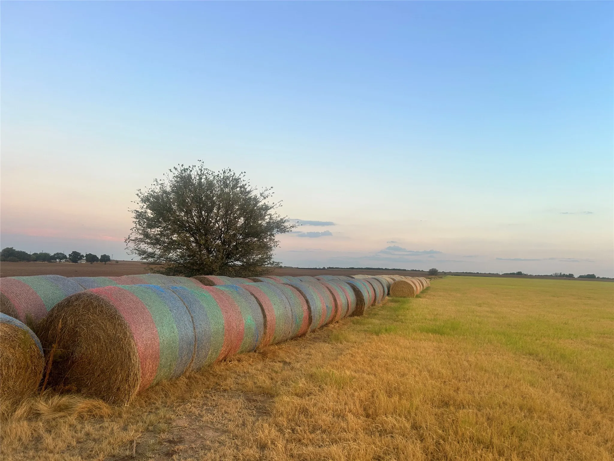 Farm For Sale in Archer County , 323 Slaughter, Megargel, Texas 76370, 2 Bedroom, 1 Bathroom, Garage spaces, 1,575 Sqft, built in 2023, mls#21380038, Real Estate Agent in Megargel, Homes For Sale in Archer county, Homes For Sale in Megargel, Realtor in Megargel Texas, Real Estate Brokerage Independent Realty Texas, Luminita Cordes Realtor