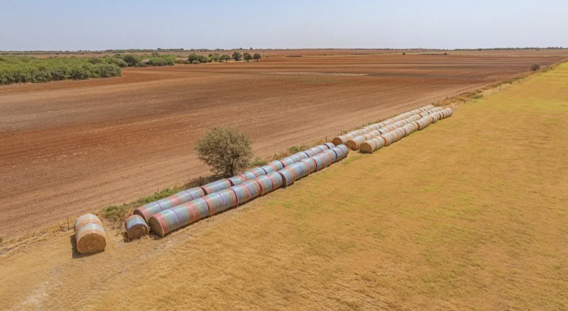 Farm For Sale in Archer County , 323 Slaughter, Megargel, Texas 76370, 2 Bedroom, 1 Bathroom, Garage spaces, 1,575 Sqft, built in 2023, mls#21380038, Real Estate Agent in Megargel, Homes For Sale in Archer county, Homes For Sale in Megargel, Realtor in Megargel Texas, Real Estate Brokerage Independent Realty Texas, Luminita Cordes Realtor