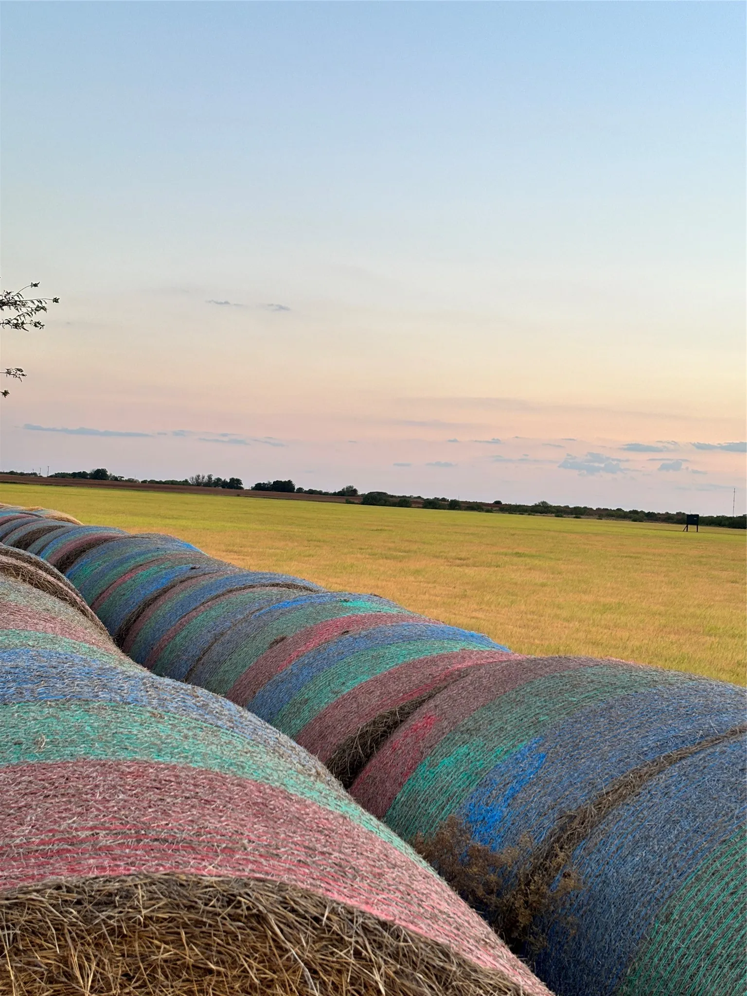 Farm For Sale in Archer County , 323 Slaughter, Megargel, Texas 76370, 2 Bedroom, 1 Bathroom, Garage spaces, 1,575 Sqft, built in 2023, mls#21380038, Real Estate Agent in Megargel, Homes For Sale in Archer county, Homes For Sale in Megargel, Realtor in Megargel Texas, Real Estate Brokerage Independent Realty Texas, Luminita Cordes Realtor