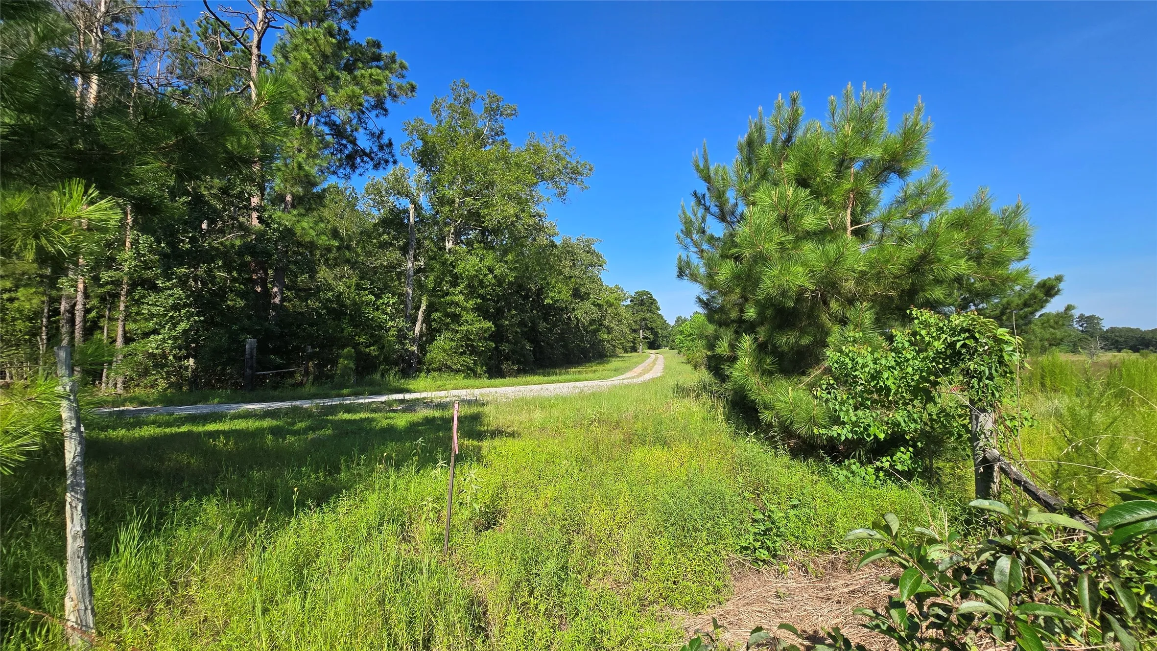 Improved Land For Sale in Panola County , 333 County Road 3092, De Berry, Texas 75639, 0, 0, Garage spaces, 0 Sqft, built in 0, mls#21380046, Real Estate Agent in De Berry, Homes For Sale in Panola county, Homes For Sale in De Berry, Realtor in De Berry Texas, Real Estate Brokerage Independent Realty Texas, Luminita Cordes Realtor