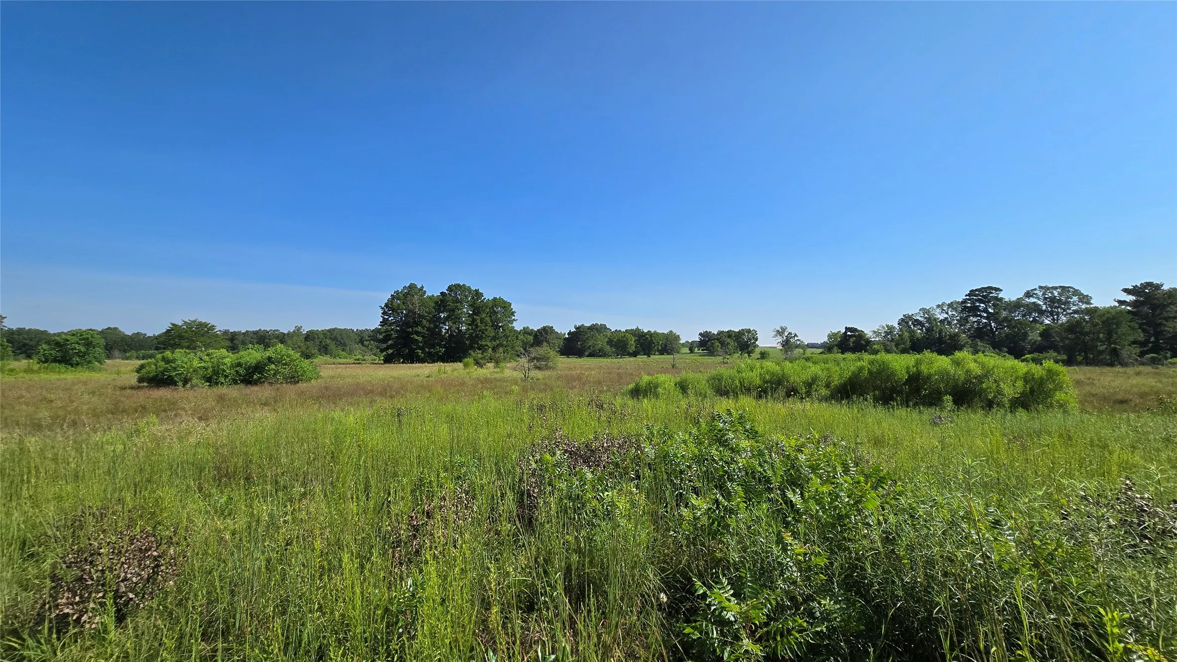 Improved Land For Sale in Panola County , 333 County Road 3092, De Berry, Texas 75639, 0, 0, Garage spaces, 0 Sqft, built in 0, mls#21380046, Real Estate Agent in De Berry, Homes For Sale in Panola county, Homes For Sale in De Berry, Realtor in De Berry Texas, Real Estate Brokerage Independent Realty Texas, Luminita Cordes Realtor