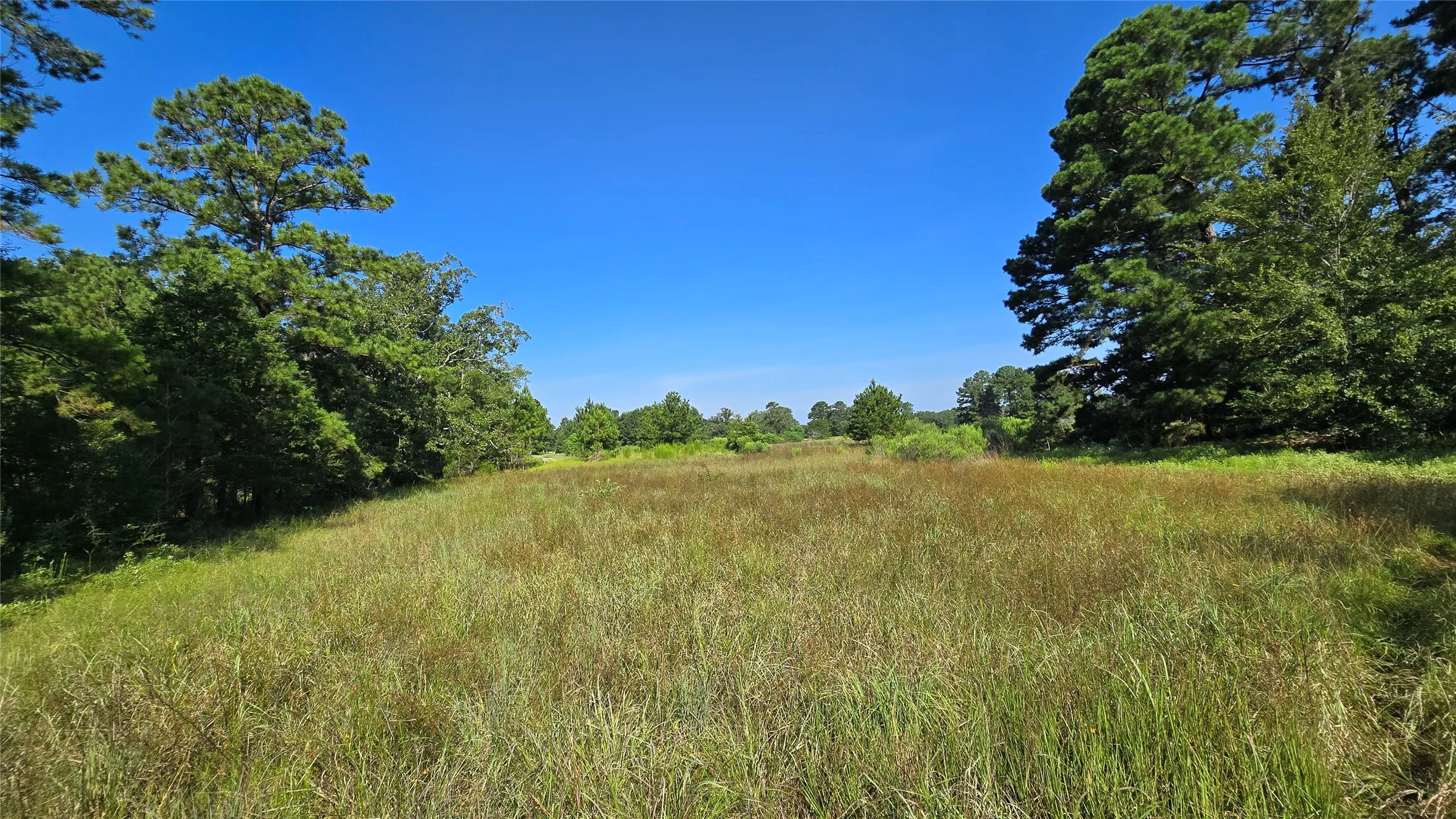 Improved Land For Sale in Panola County , 333 County Road 3092, De Berry, Texas 75639, 0, 0, Garage spaces, 0 Sqft, built in 0, mls#21380046, Real Estate Agent in De Berry, Homes For Sale in Panola county, Homes For Sale in De Berry, Realtor in De Berry Texas, Real Estate Brokerage Independent Realty Texas, Luminita Cordes Realtor