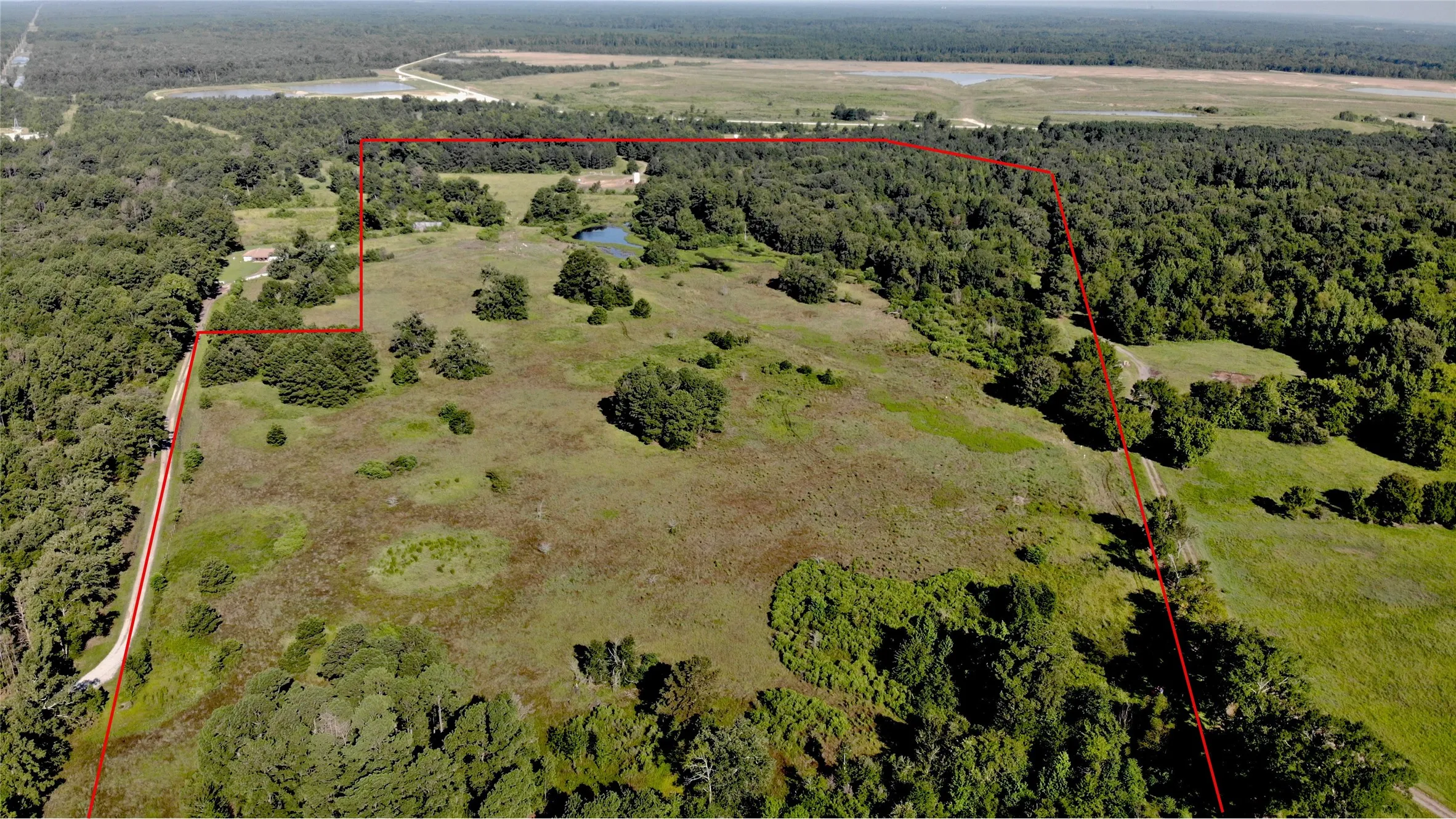 Improved Land For Sale in Panola County , 333 County Road 3092, De Berry, Texas 75639, 0, 0, Garage spaces, 0 Sqft, built in 0, mls#21380046, Real Estate Agent in De Berry, Homes For Sale in Panola county, Homes For Sale in De Berry, Realtor in De Berry Texas, Real Estate Brokerage Independent Realty Texas, Luminita Cordes Realtor