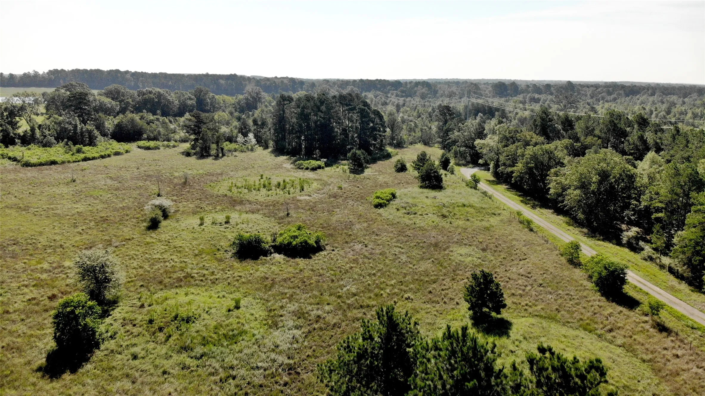 Improved Land For Sale in Panola County , 333 County Road 3092, De Berry, Texas 75639, 0, 0, Garage spaces, 0 Sqft, built in 0, mls#21380046, Real Estate Agent in De Berry, Homes For Sale in Panola county, Homes For Sale in De Berry, Realtor in De Berry Texas, Real Estate Brokerage Independent Realty Texas, Luminita Cordes Realtor