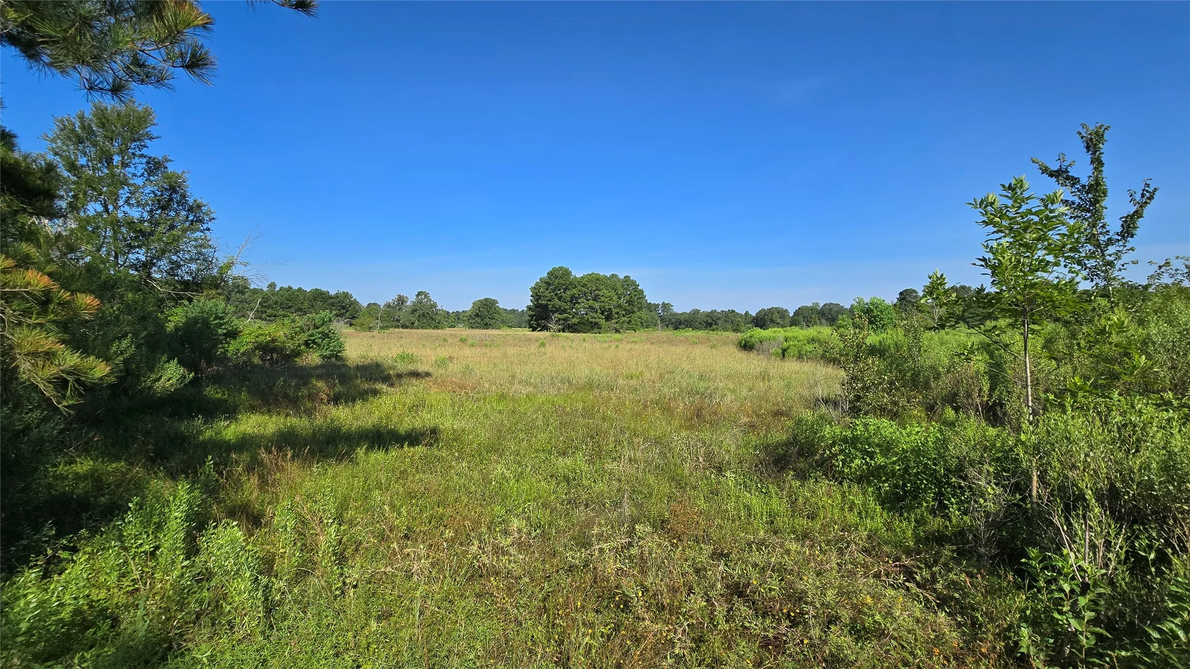 Improved Land For Sale in Panola County , 333 County Road 3092, De Berry, Texas 75639, 0, 0, Garage spaces, 0 Sqft, built in 0, mls#21380046, Real Estate Agent in De Berry, Homes For Sale in Panola county, Homes For Sale in De Berry, Realtor in De Berry Texas, Real Estate Brokerage Independent Realty Texas, Luminita Cordes Realtor