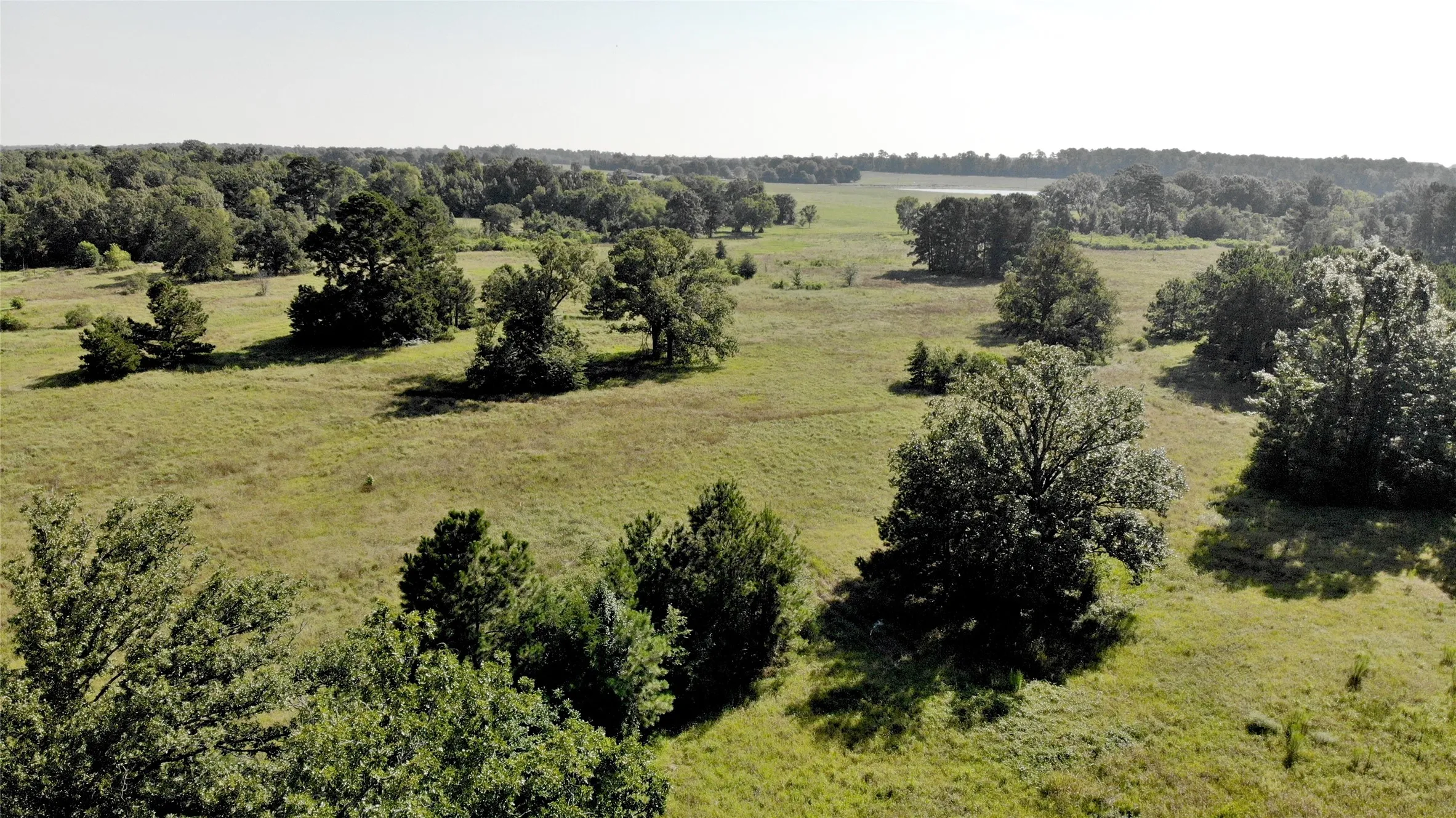 Improved Land For Sale in Panola County , 333 County Road 3092, De Berry, Texas 75639, 0, 0, Garage spaces, 0 Sqft, built in 0, mls#21380046, Real Estate Agent in De Berry, Homes For Sale in Panola county, Homes For Sale in De Berry, Realtor in De Berry Texas, Real Estate Brokerage Independent Realty Texas, Luminita Cordes Realtor