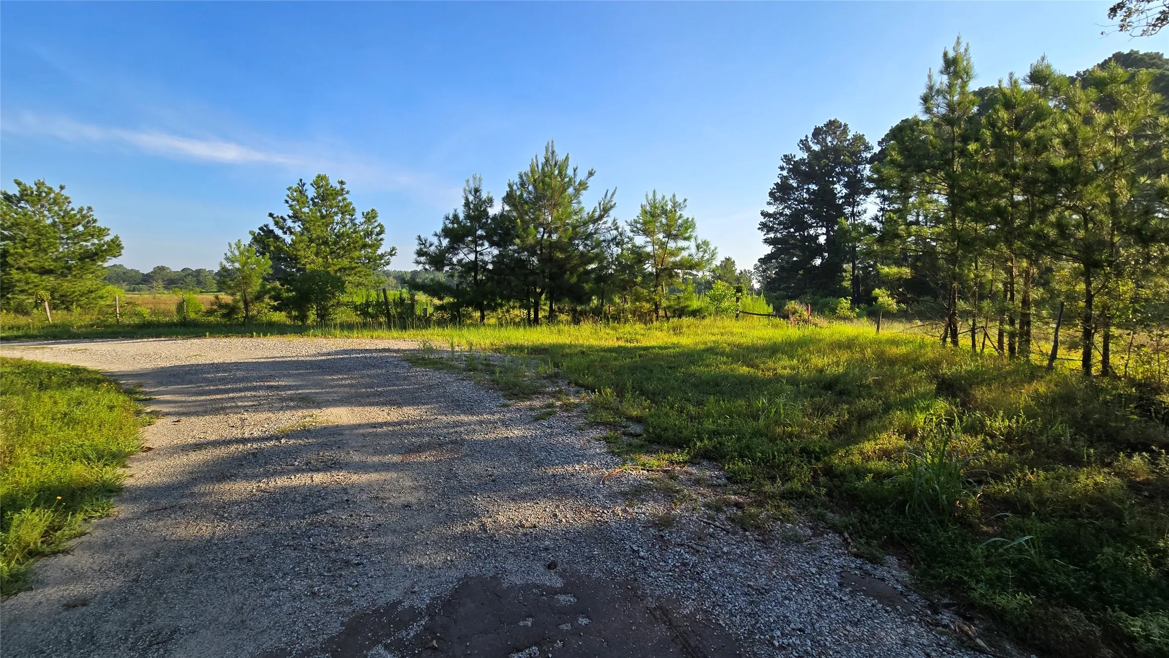 Improved Land For Sale in Panola County , 333 County Road 3092, De Berry, Texas 75639, 0, 0, Garage spaces, 0 Sqft, built in 0, mls#21380046, Real Estate Agent in De Berry, Homes For Sale in Panola county, Homes For Sale in De Berry, Realtor in De Berry Texas, Real Estate Brokerage Independent Realty Texas, Luminita Cordes Realtor