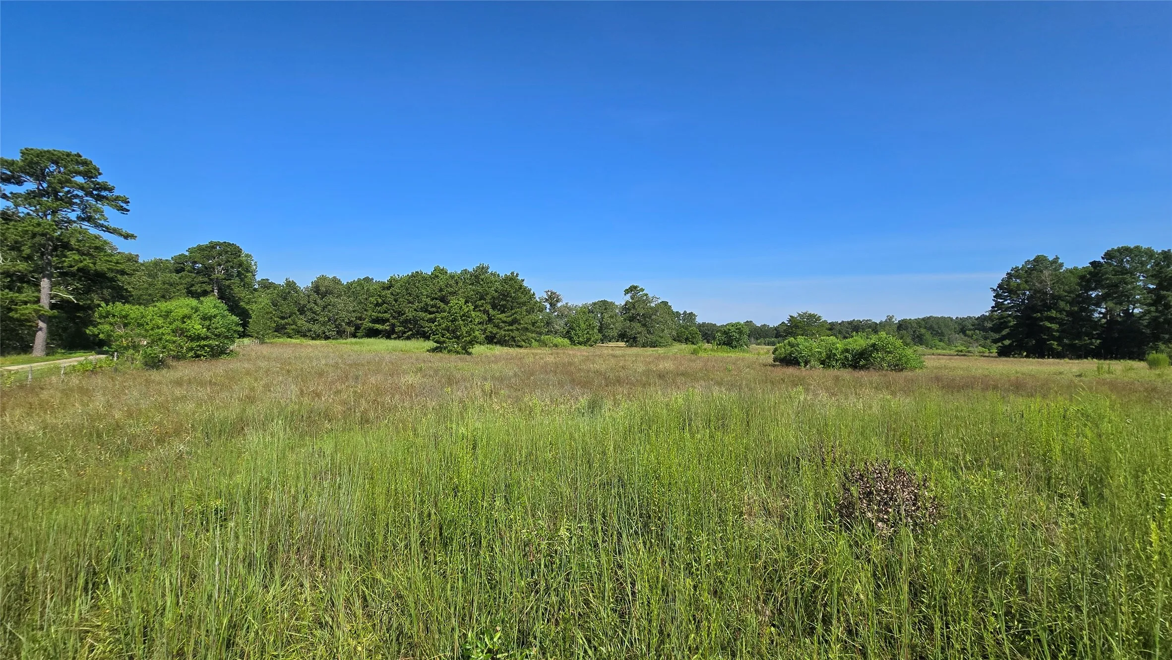 Improved Land For Sale in Panola County , 333 County Road 3092, De Berry, Texas 75639, 0, 0, Garage spaces, 0 Sqft, built in 0, mls#21380046, Real Estate Agent in De Berry, Homes For Sale in Panola county, Homes For Sale in De Berry, Realtor in De Berry Texas, Real Estate Brokerage Independent Realty Texas, Luminita Cordes Realtor