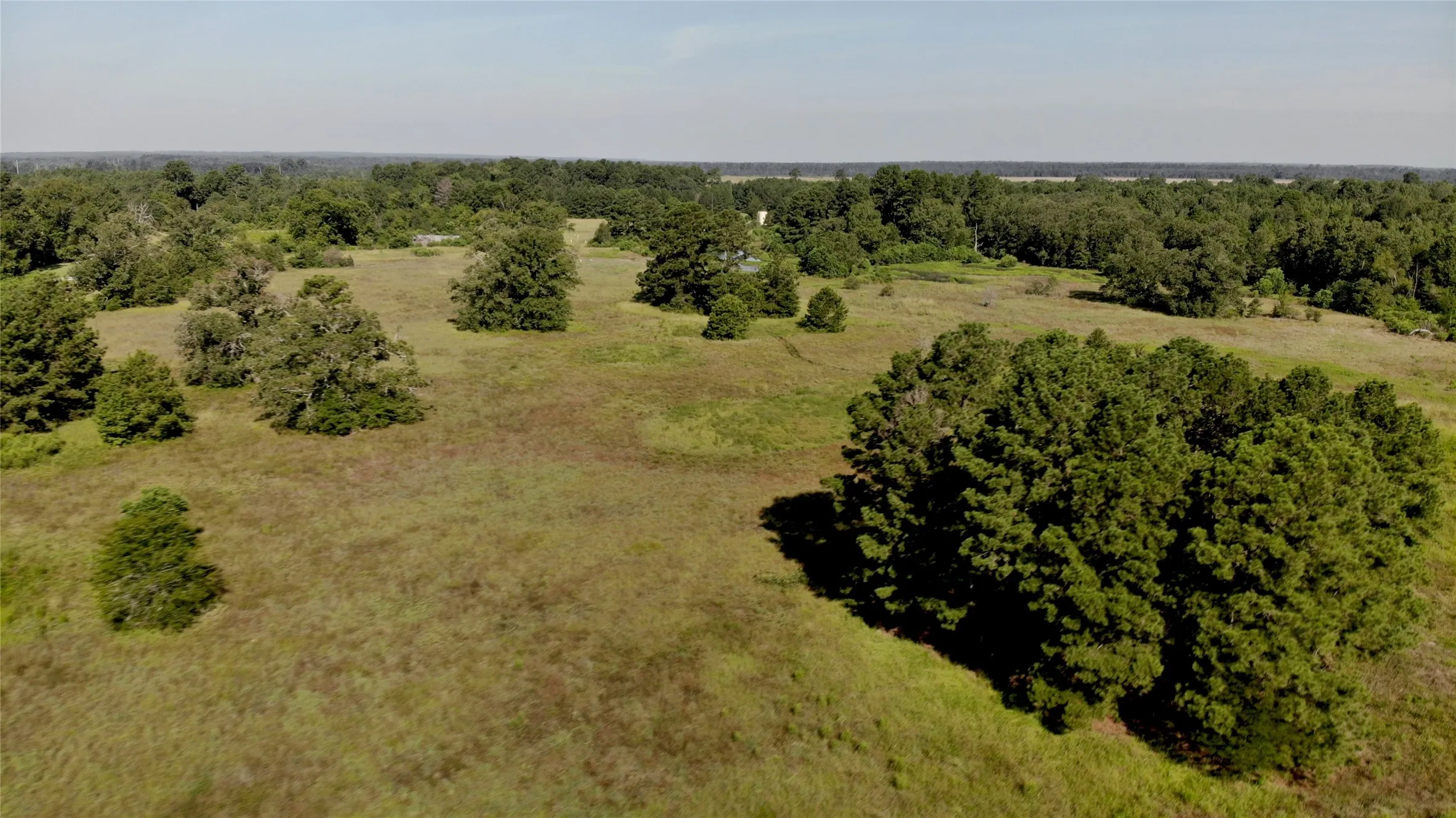 Improved Land For Sale in Panola County , 333 County Road 3092, De Berry, Texas 75639, 0, 0, Garage spaces, 0 Sqft, built in 0, mls#21380046, Real Estate Agent in De Berry, Homes For Sale in Panola county, Homes For Sale in De Berry, Realtor in De Berry Texas, Real Estate Brokerage Independent Realty Texas, Luminita Cordes Realtor