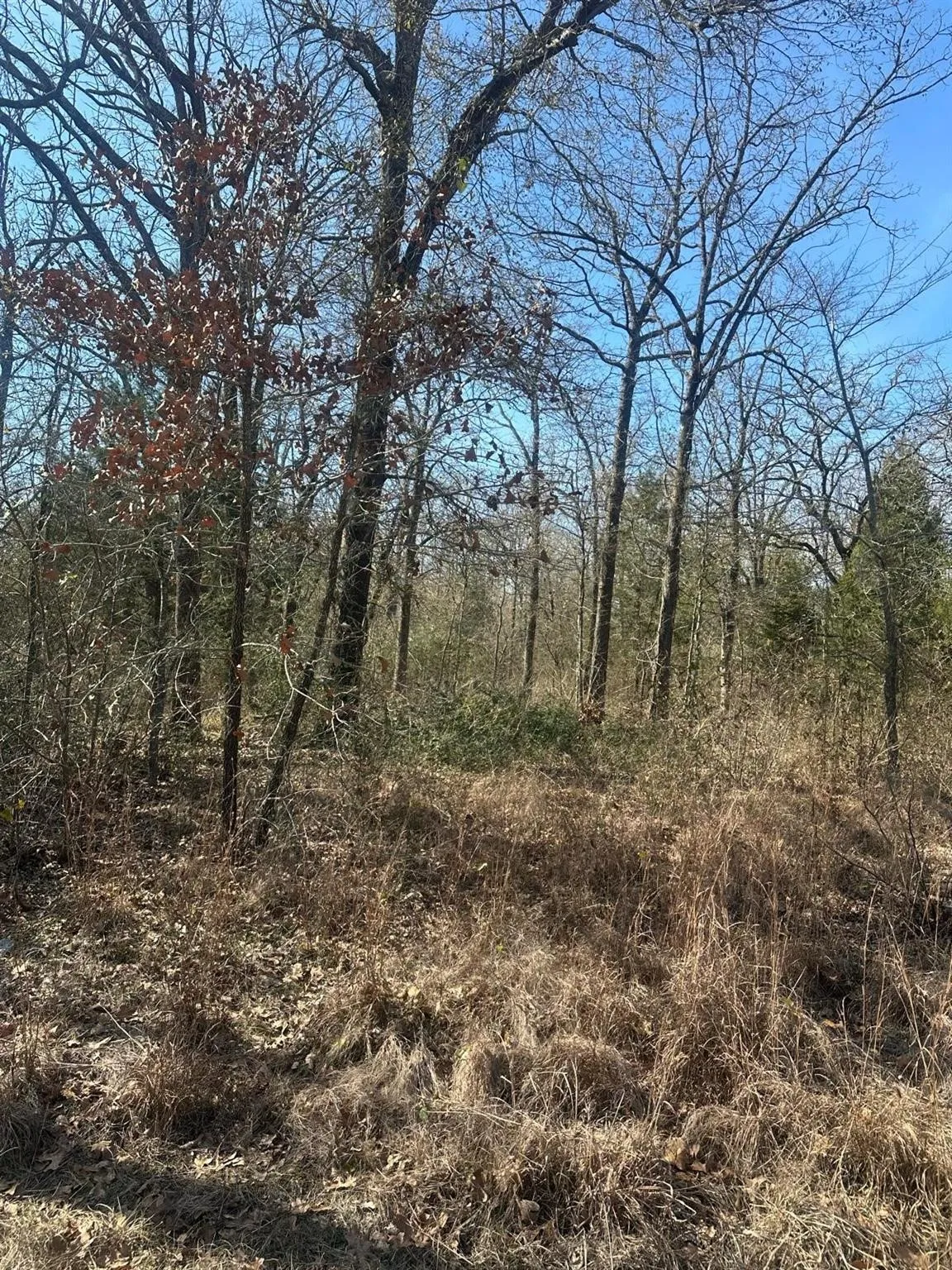 Unimproved Land For Sale in Henderson County , 6149 Indian Harbor Drive, Mabank, Texas 75156, 0, 0, Garage spaces, 0 Sqft, built in 0, mls#21380052, Real Estate Agent in Mabank, Homes For Sale in Henderson county, Homes For Sale in Mabank, Realtor in Mabank Texas, Real Estate Brokerage Independent Realty Texas, Luminita Cordes Realtor