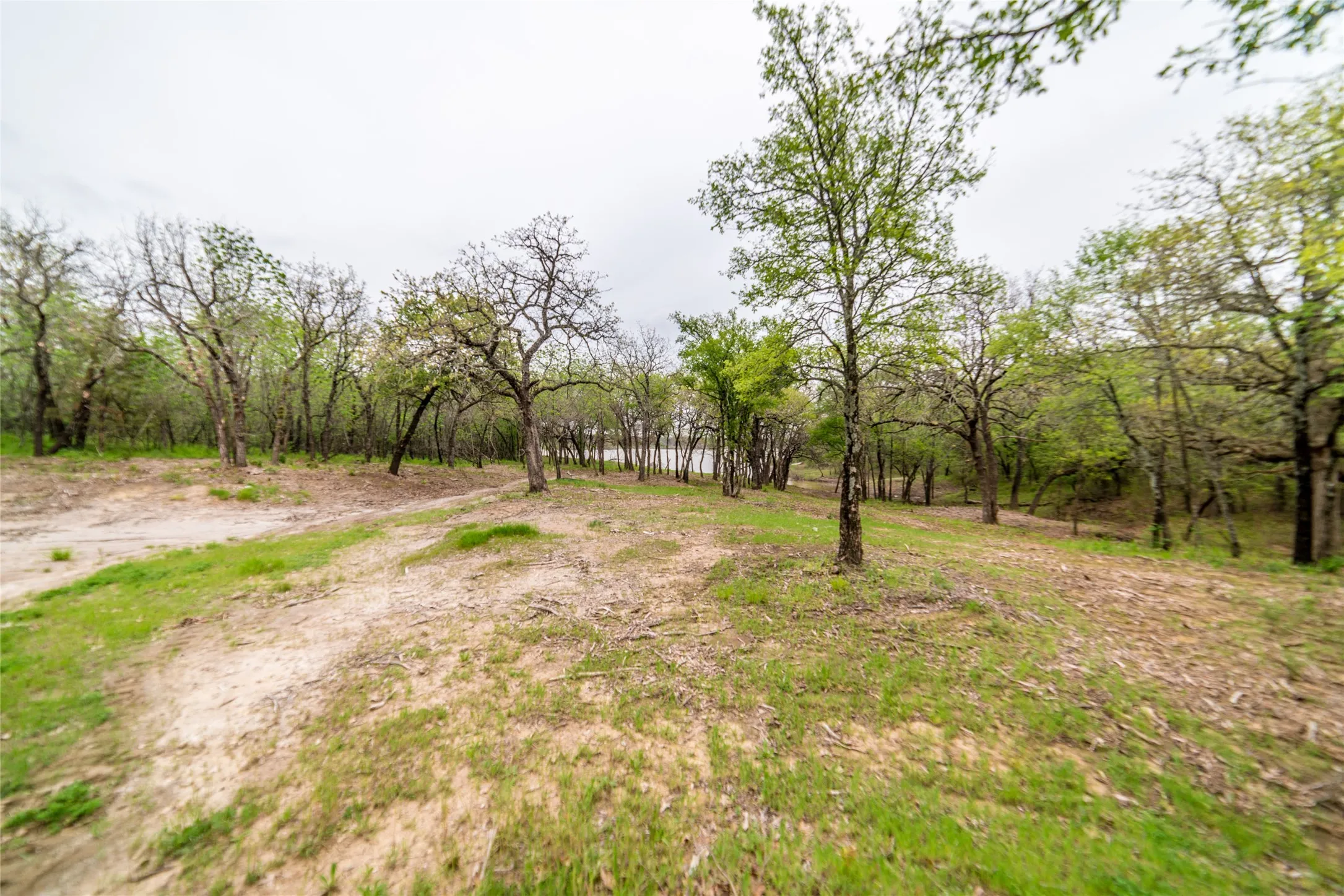 Single Family Residence For Rent in Denton County , 956 Lloyds Road, Little Elm, Texas 75068, 3 Bedroom, 2 Bathroom, Garage spaces, 1,300 Sqft, built in 2024, mls#21380040, Real Estate Agent in Little Elm, Homes For Rent in Denton county, Homes For Rent in Little Elm, Realtor in Little Elm Texas, Real Estate Brokerage Independent Realty Texas, Luminita Cordes Realtor