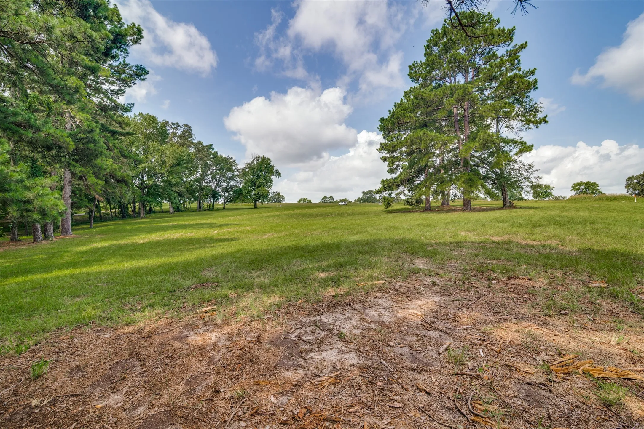 Single Family Residence For Sale in Camp County , Lots 9&10 PR 52320, Pittsburg, Texas 75686, 0, 0, Garage spaces, 0 Sqft, built in 2026, mls#21379140, Real Estate Agent in Pittsburg, Homes For Sale in Camp county, Homes For Sale in Pittsburg, Realtor in Pittsburg Texas, Real Estate Brokerage Independent Realty Texas, Luminita Cordes Realtor