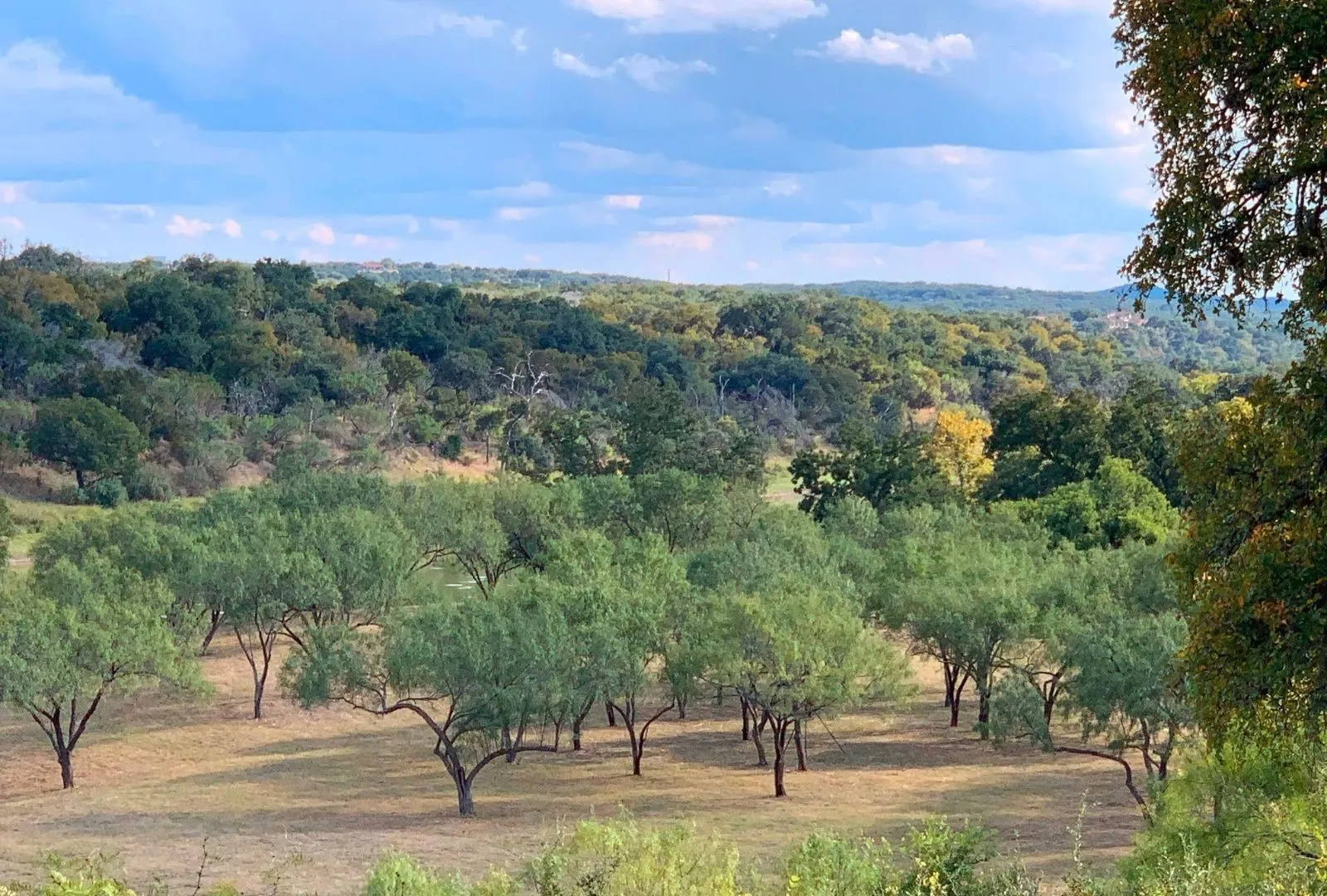 Ranch For Sale in Travis County , 3220 Fall Creek Estates Drive, Spicewood, Texas 78669, 0, 0, Garage spaces, 0 Sqft, built in 2001, mls#21380077, Real Estate Agent in Spicewood, Homes For Sale in Travis county, Homes For Sale in Spicewood, Realtor in Spicewood Texas, Real Estate Brokerage Independent Realty Texas, Luminita Cordes Realtor