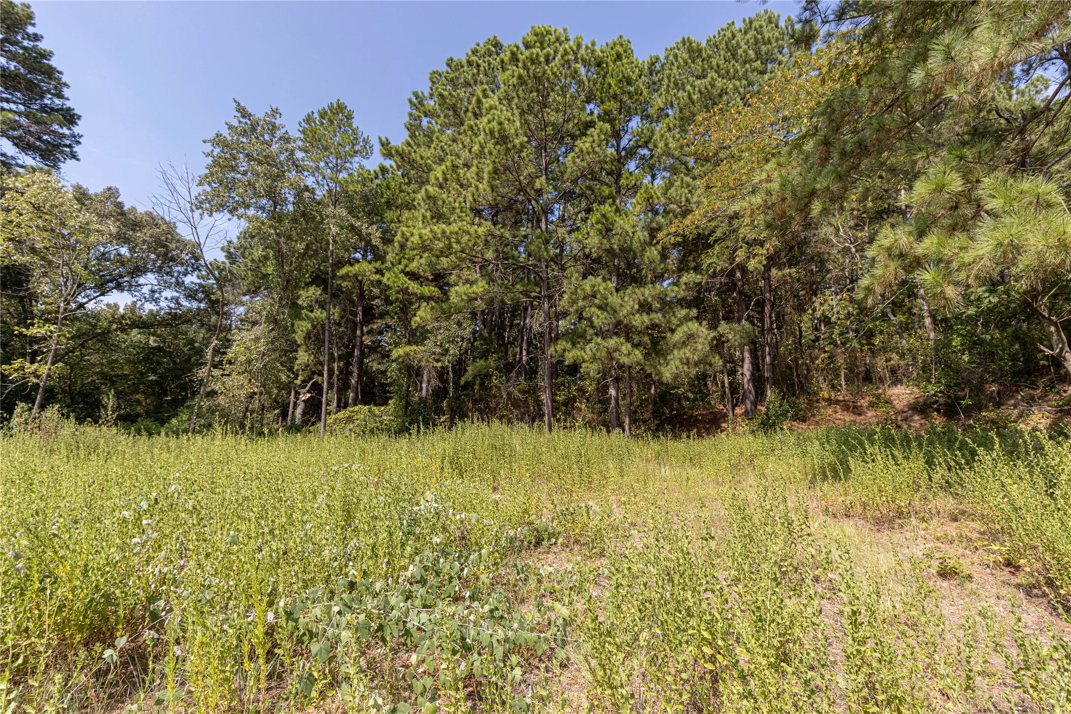 Unimproved Land For Sale in Henderson County , 000 VALLEY VIEW 1544ac, Frankston, Texas 75763, 0, 0, Garage spaces, 0 Sqft, built in 0, mls#21380076, Real Estate Agent in Frankston, Homes For Sale in Henderson county, Homes For Sale in Frankston, Realtor in Frankston Texas, Real Estate Brokerage Independent Realty Texas, Luminita Cordes Realtor
