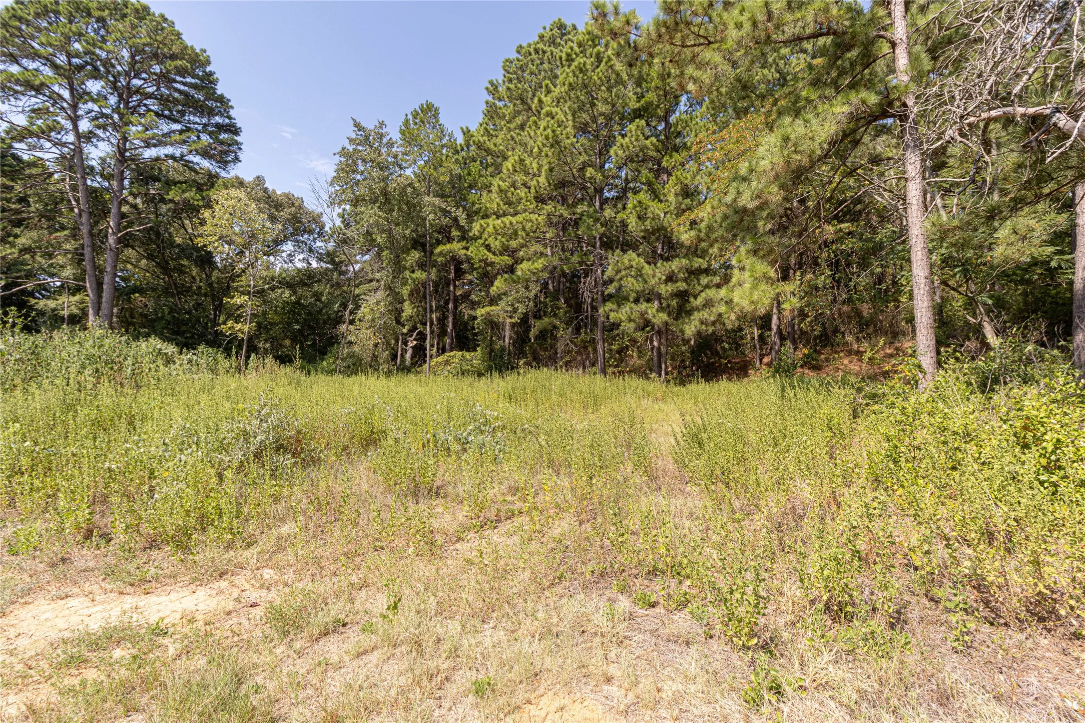 Unimproved Land For Sale in Henderson County , 000 VALLEY VIEW 1544ac, Frankston, Texas 75763, 0, 0, Garage spaces, 0 Sqft, built in 0, mls#21380076, Real Estate Agent in Frankston, Homes For Sale in Henderson county, Homes For Sale in Frankston, Realtor in Frankston Texas, Real Estate Brokerage Independent Realty Texas, Luminita Cordes Realtor