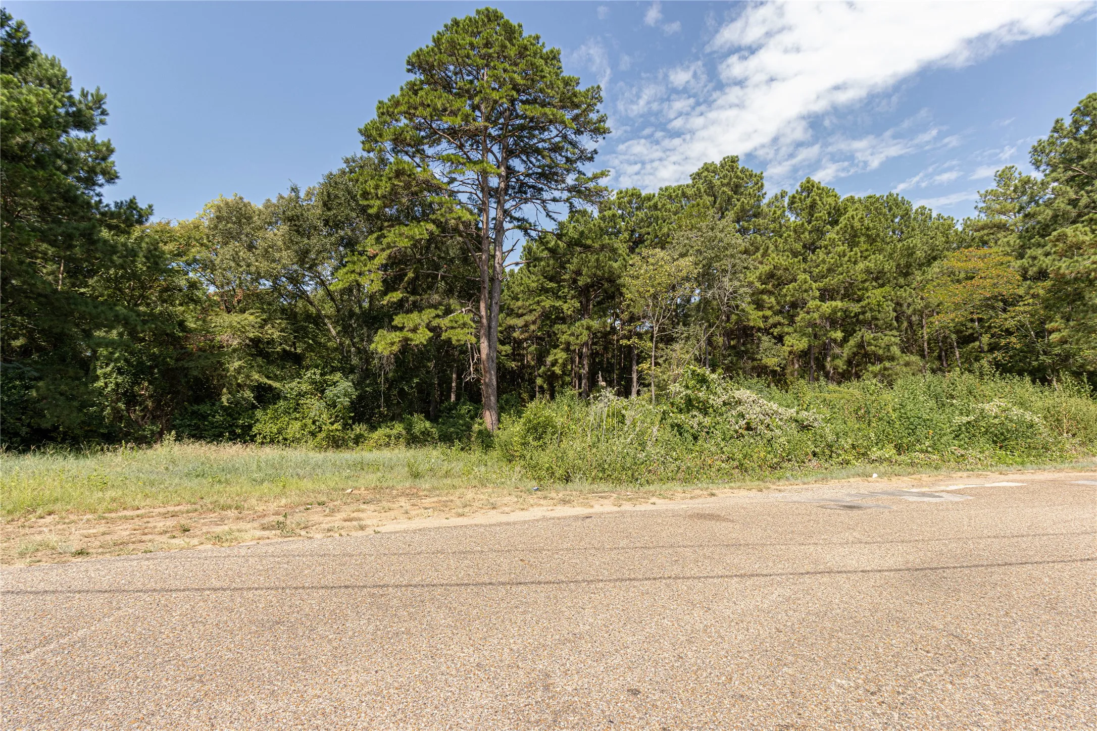 Unimproved Land For Sale in Henderson County , 000 VALLEY VIEW 1544ac, Frankston, Texas 75763, 0, 0, Garage spaces, 0 Sqft, built in 0, mls#21380076, Real Estate Agent in Frankston, Homes For Sale in Henderson county, Homes For Sale in Frankston, Realtor in Frankston Texas, Real Estate Brokerage Independent Realty Texas, Luminita Cordes Realtor